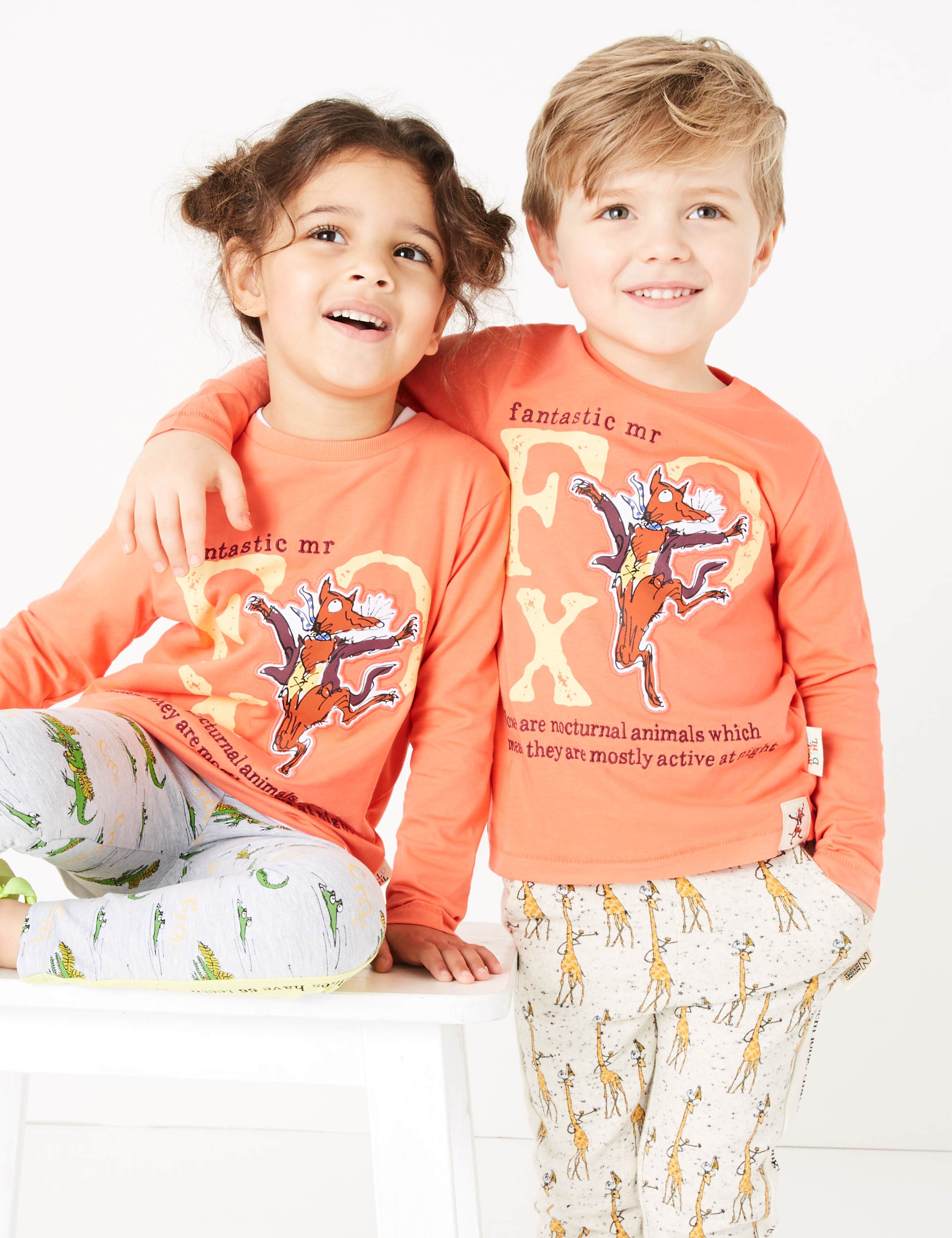 Roald Dahl™ & NHM™ Fox Top (2-7 Yrs) 1 of 6