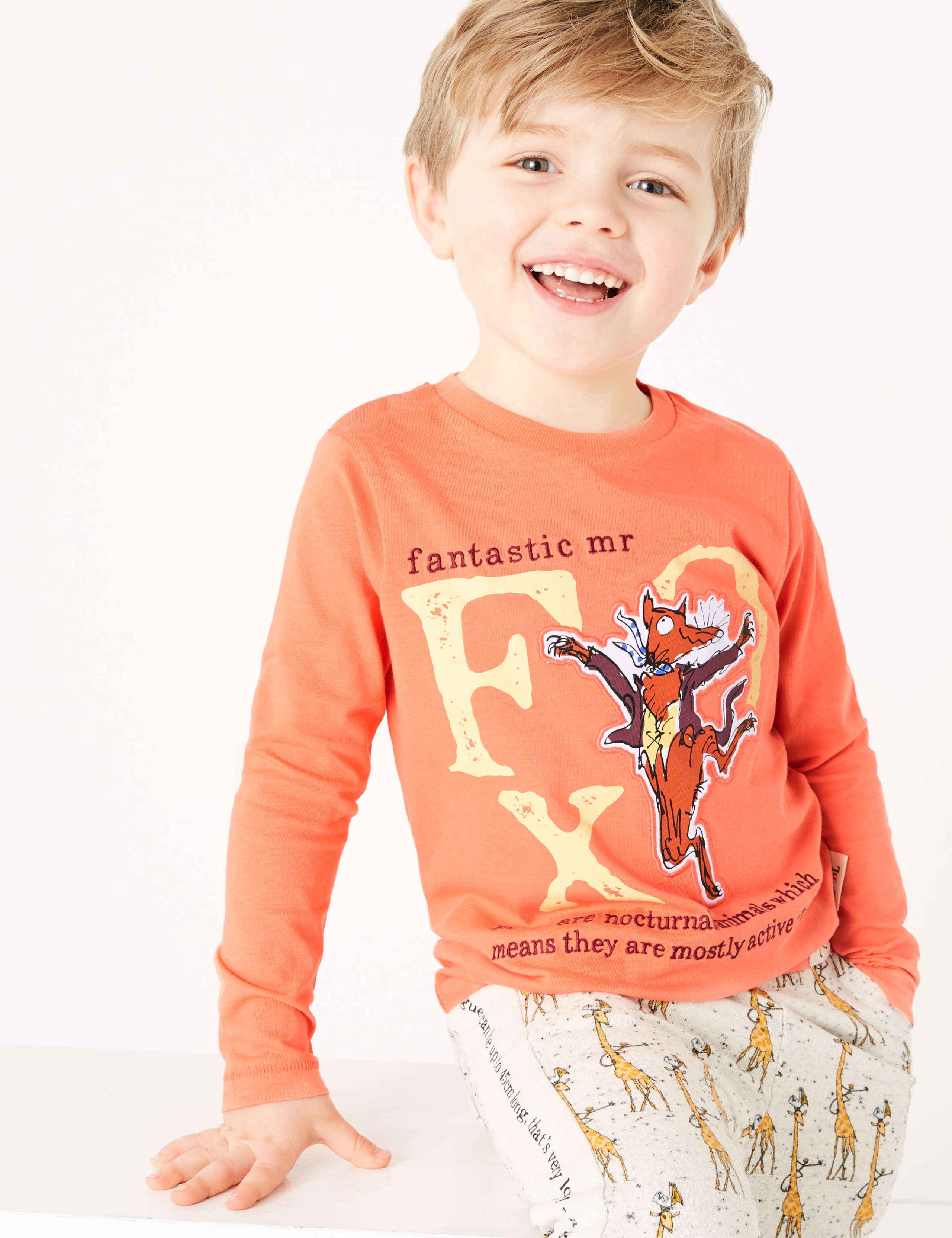 Roald Dahl™ & NHM™ Fox Top (2-7 Yrs) 3 of 6