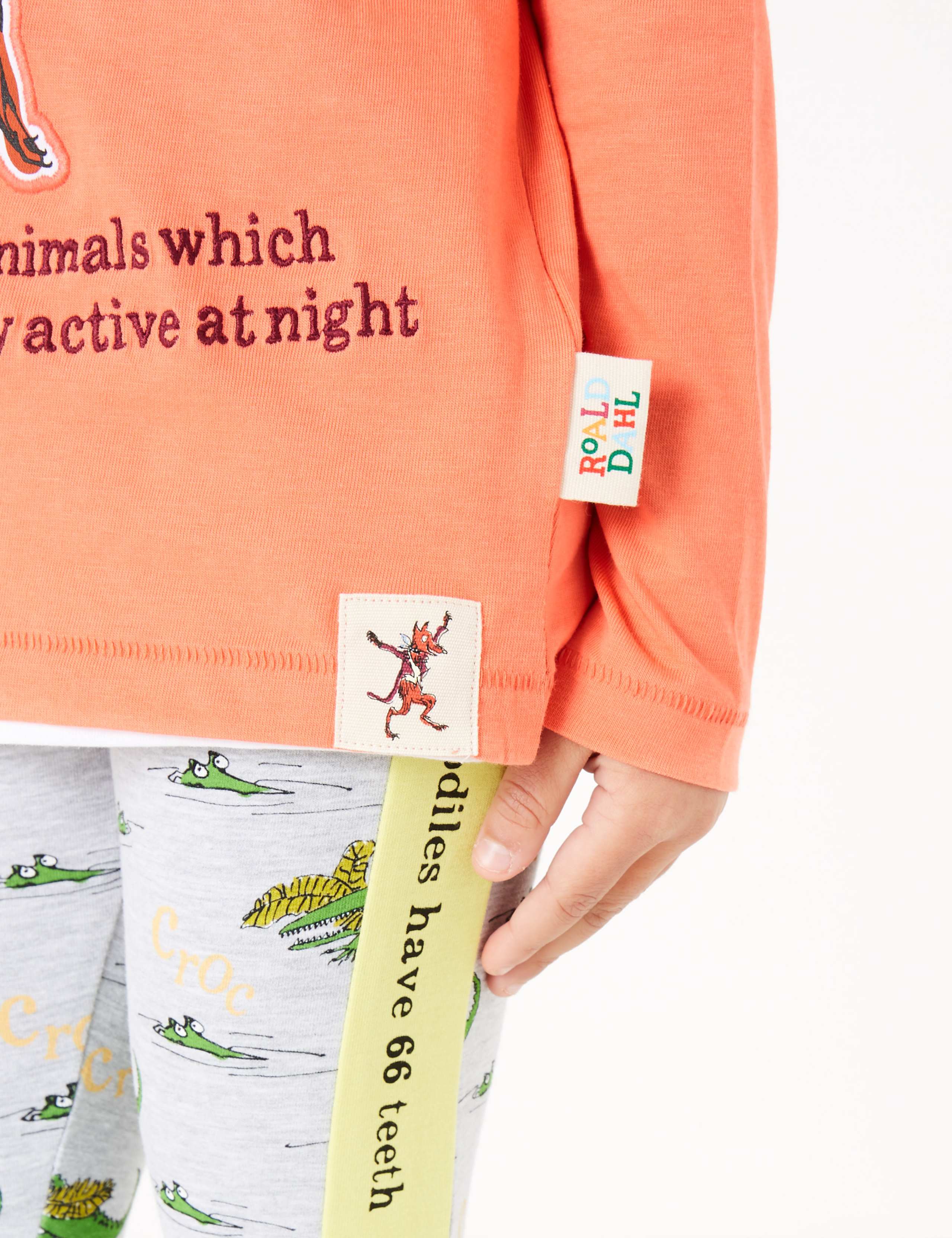 Roald Dahl™ & NHM™ Fox Top (2-7 Yrs) 6 of 6