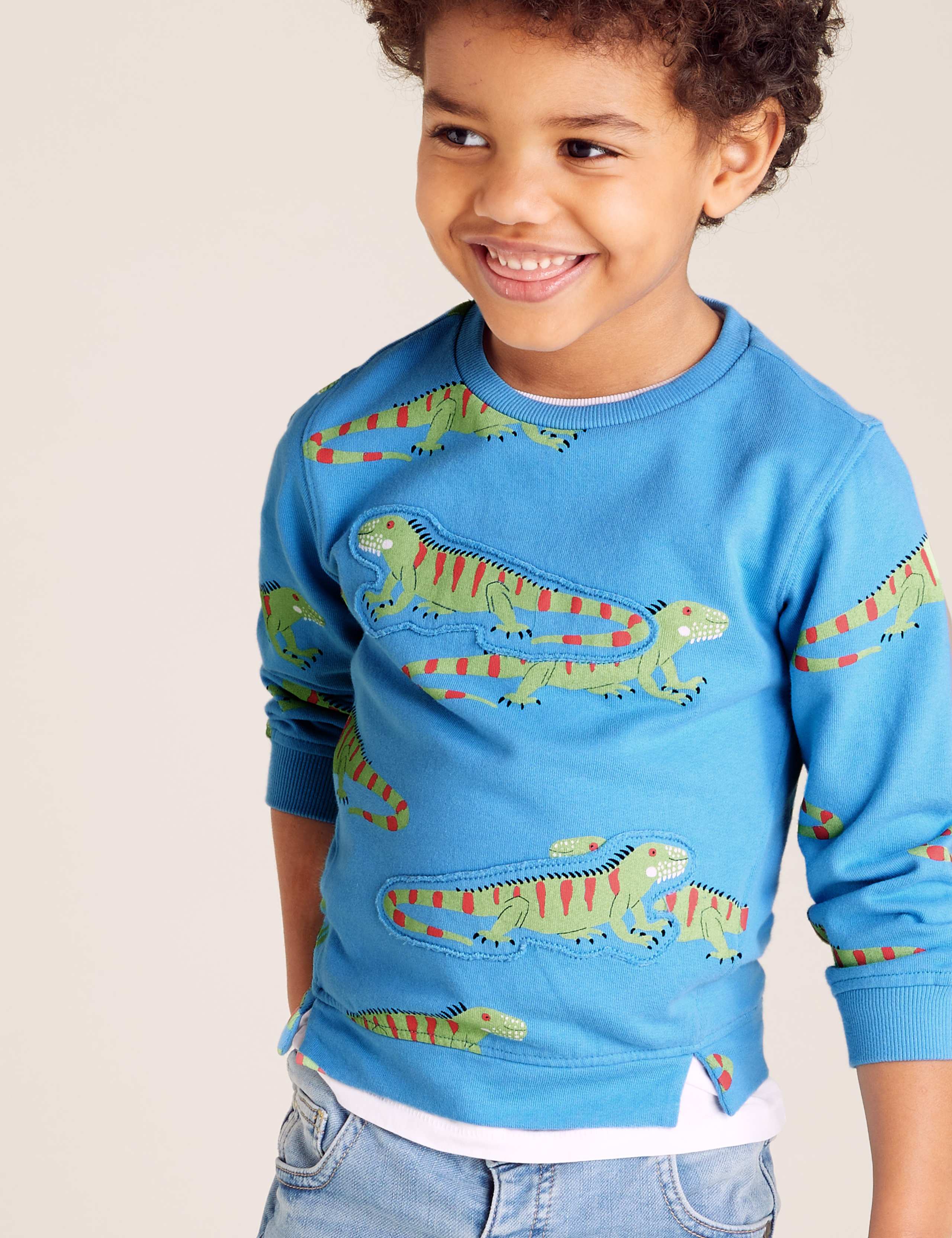 Pure Cotton Iguana Print Sweatshirt (2-7 Yrs) 3 of 4