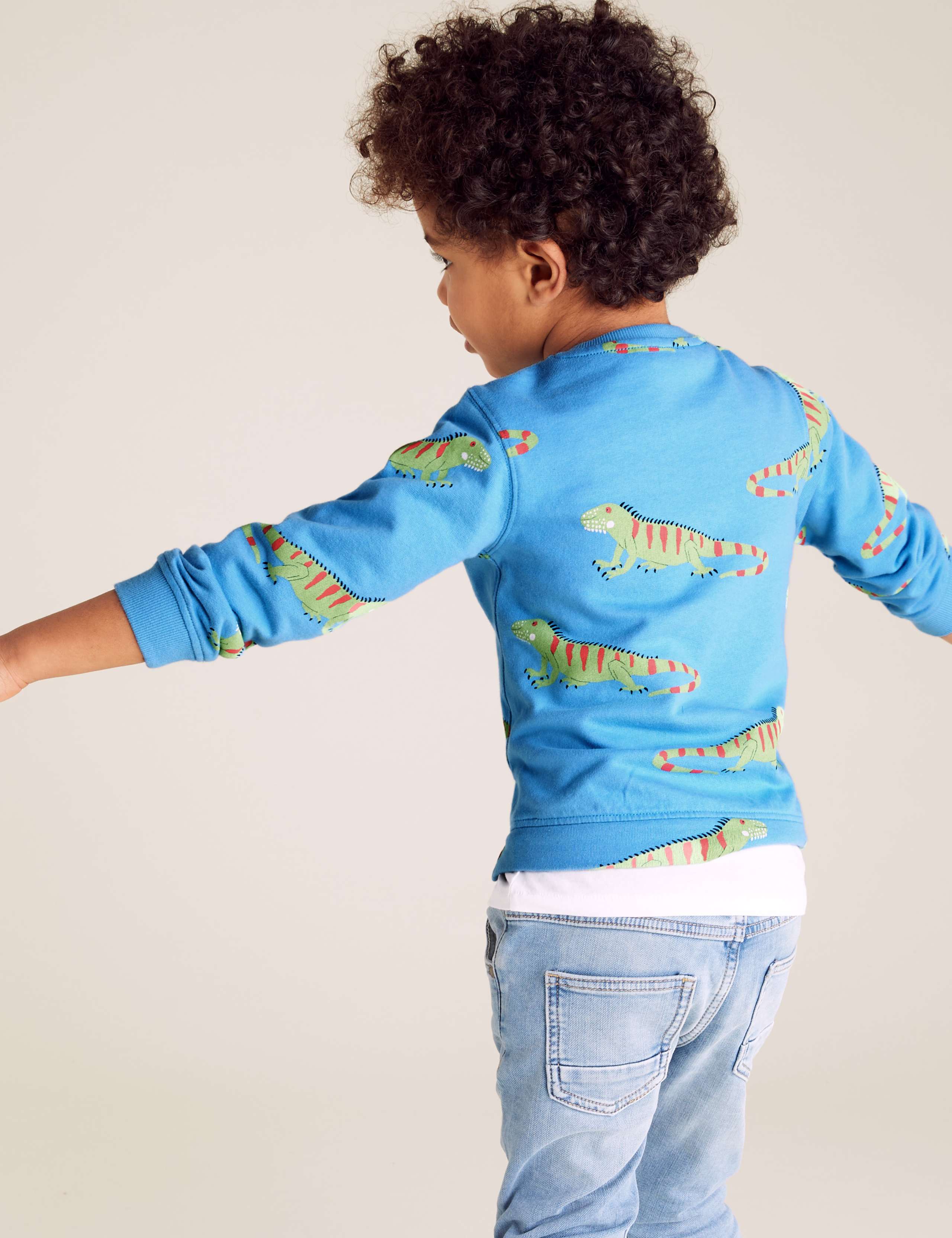 Pure Cotton Iguana Print Sweatshirt (2-7 Yrs) 4 of 4