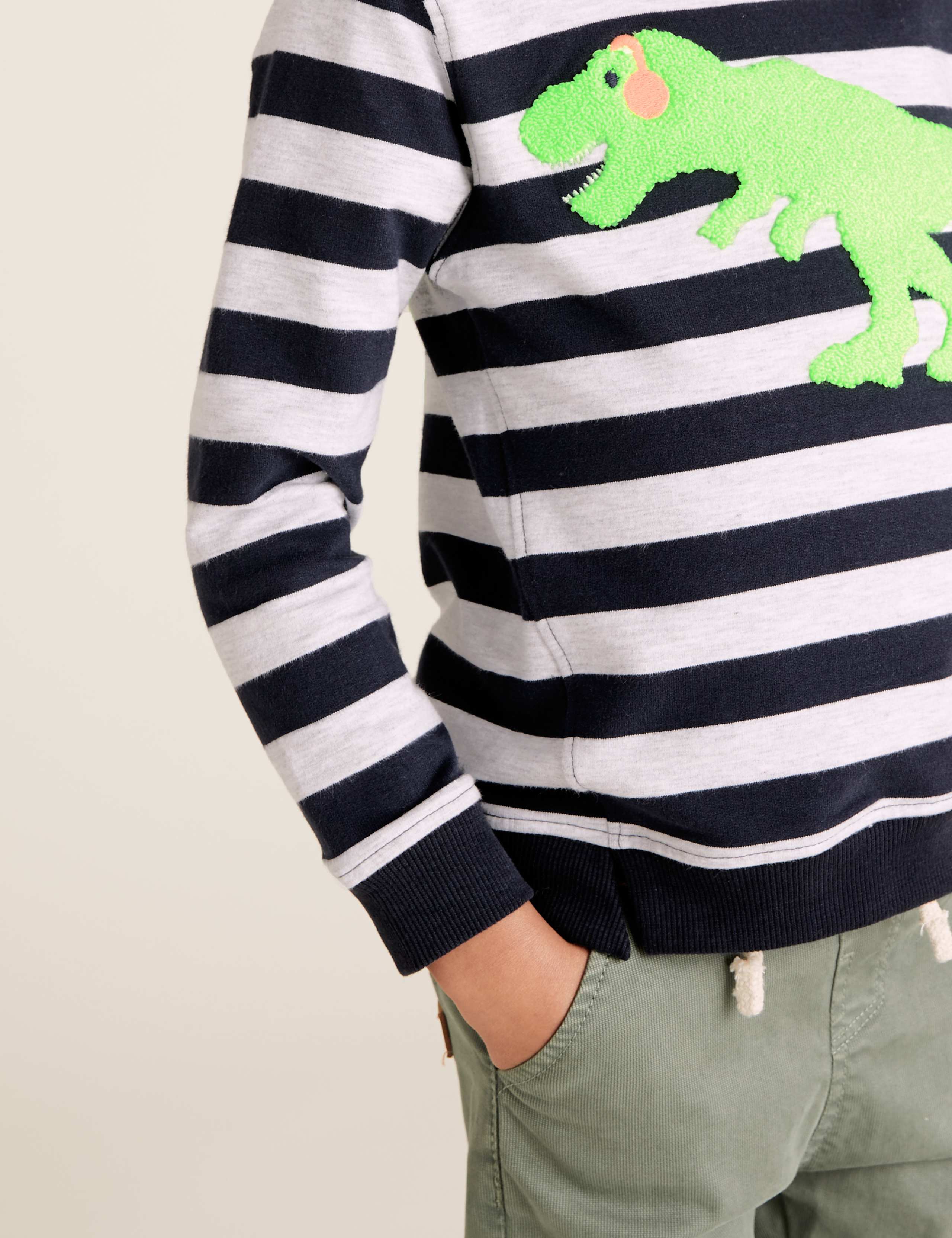 Cotton Stripe Dinosaur Sweatshirt (2-7 Yrs) 3 of 5