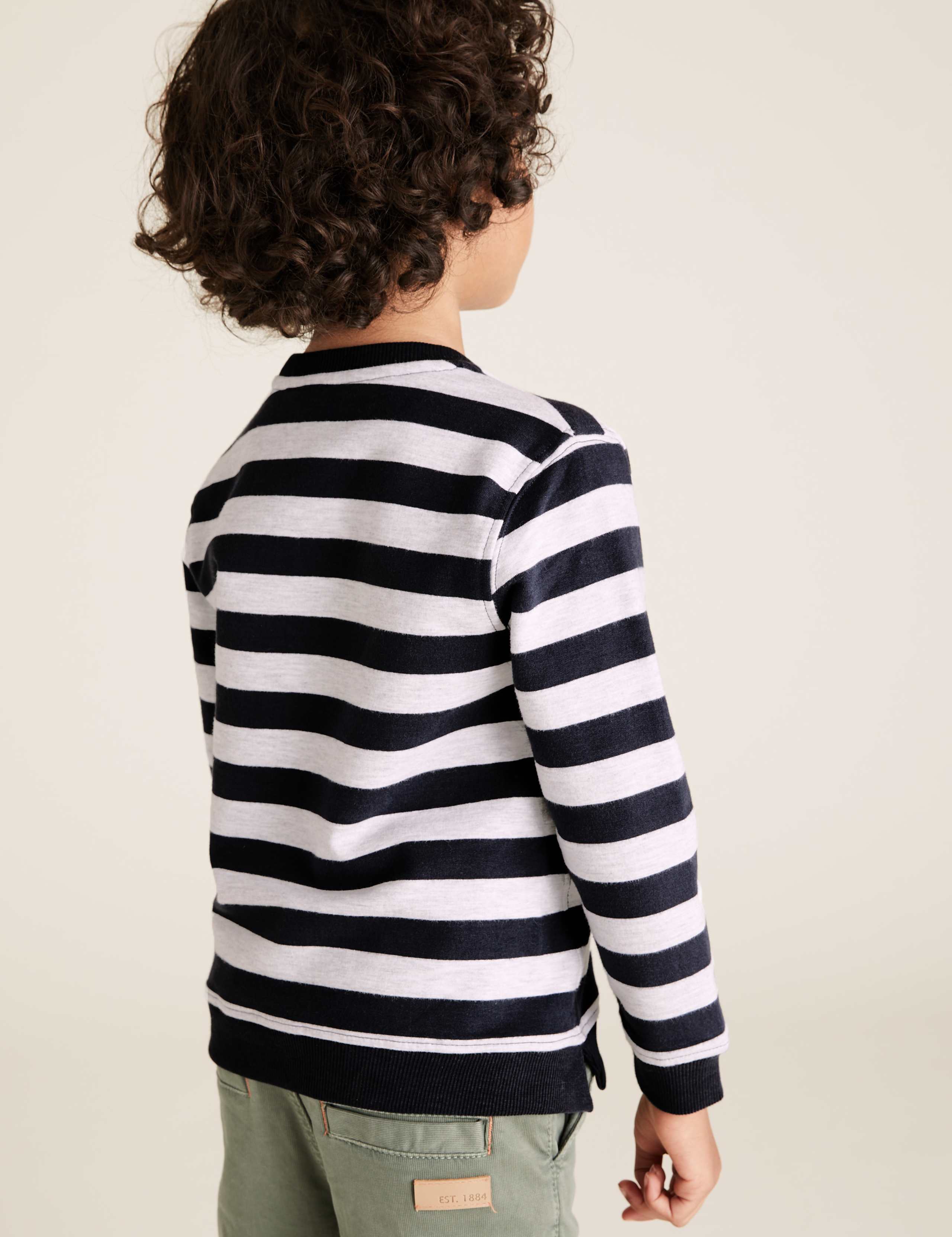 Cotton Stripe Dinosaur Sweatshirt (2-7 Yrs) 4 of 5