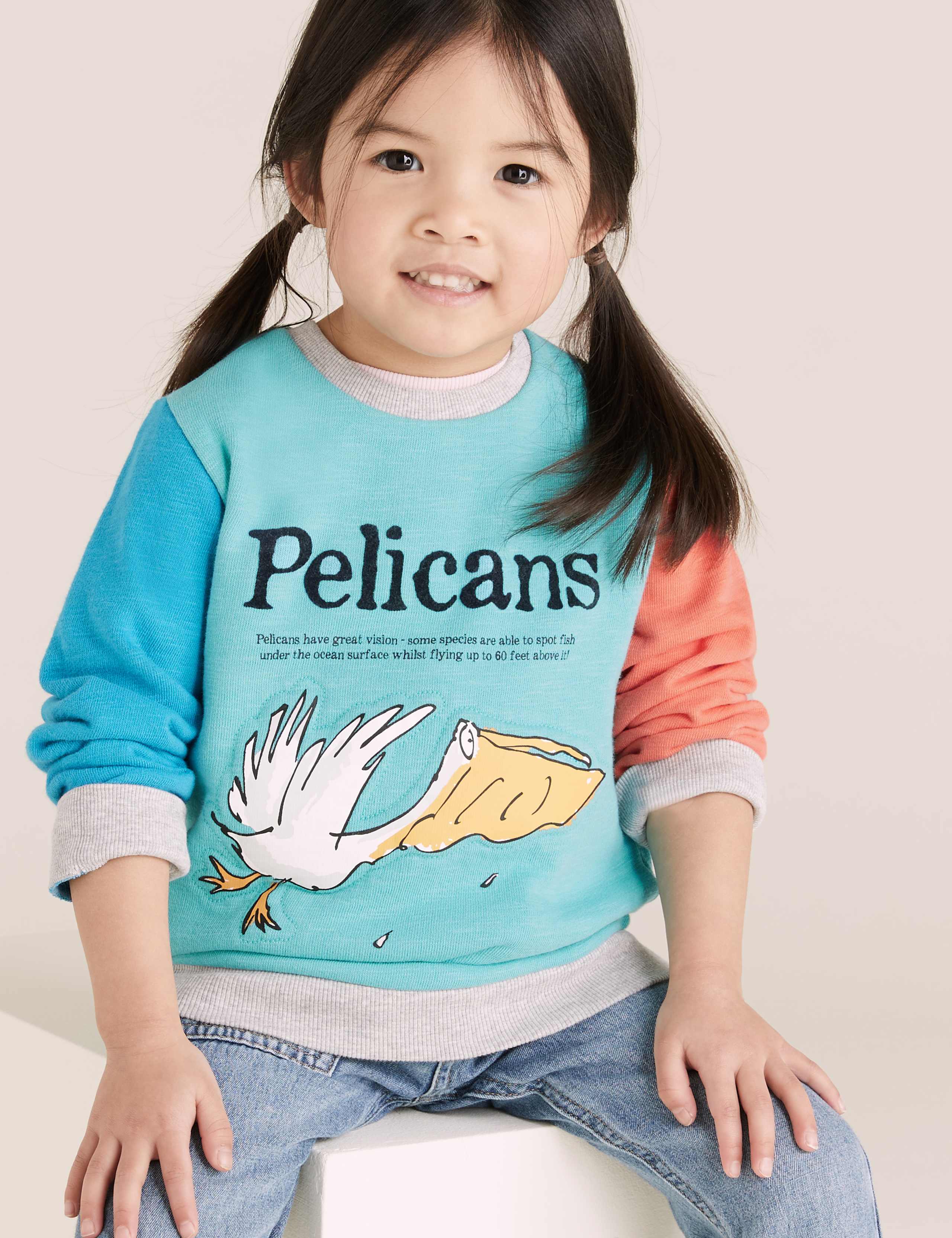 Roald Dahl™ & NHM™ Pelican Sweatshirt (2-7 Yrs) 3 of 6