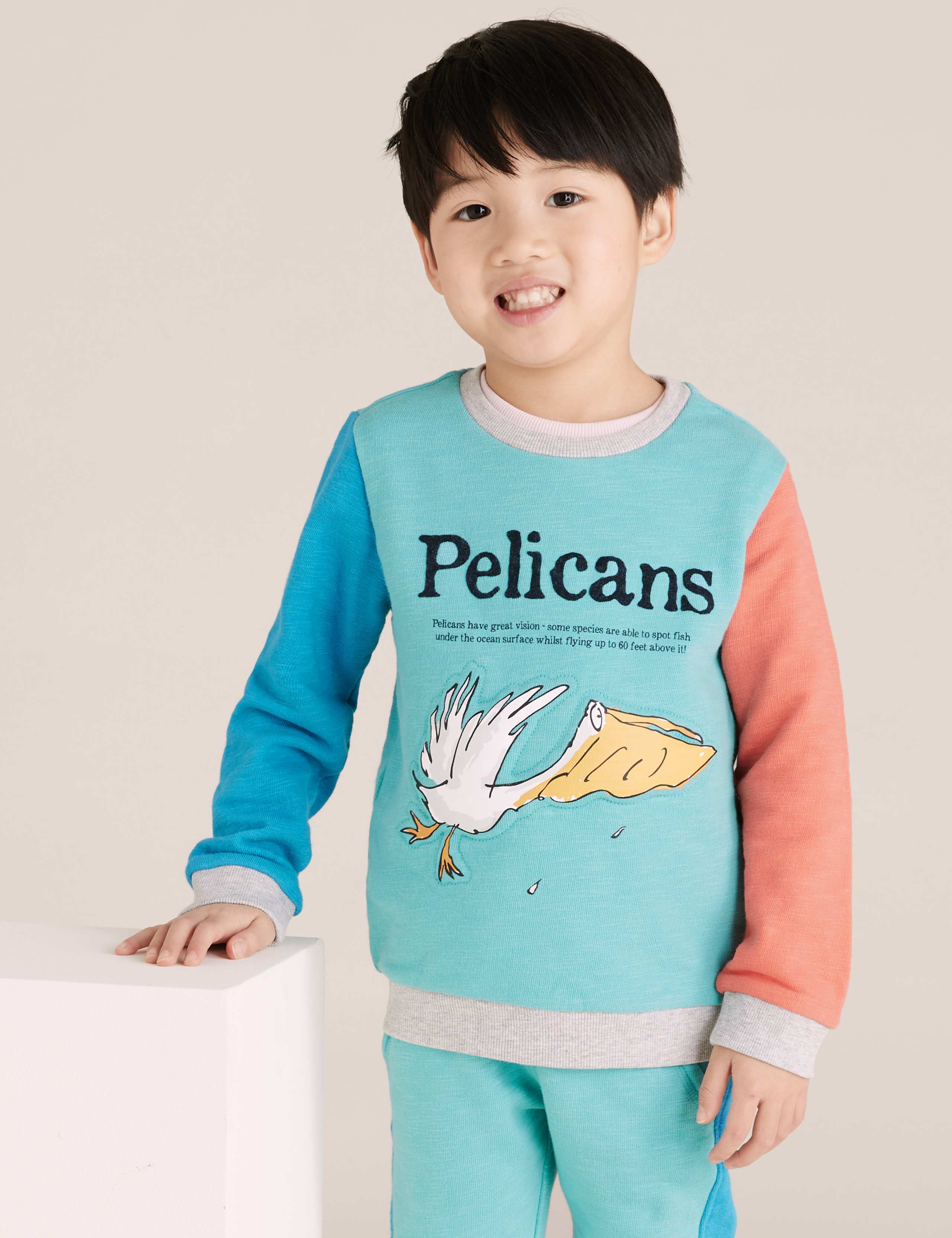 Roald Dahl™ & NHM™ Pelican Sweatshirt (2-7 Yrs) 4 of 6