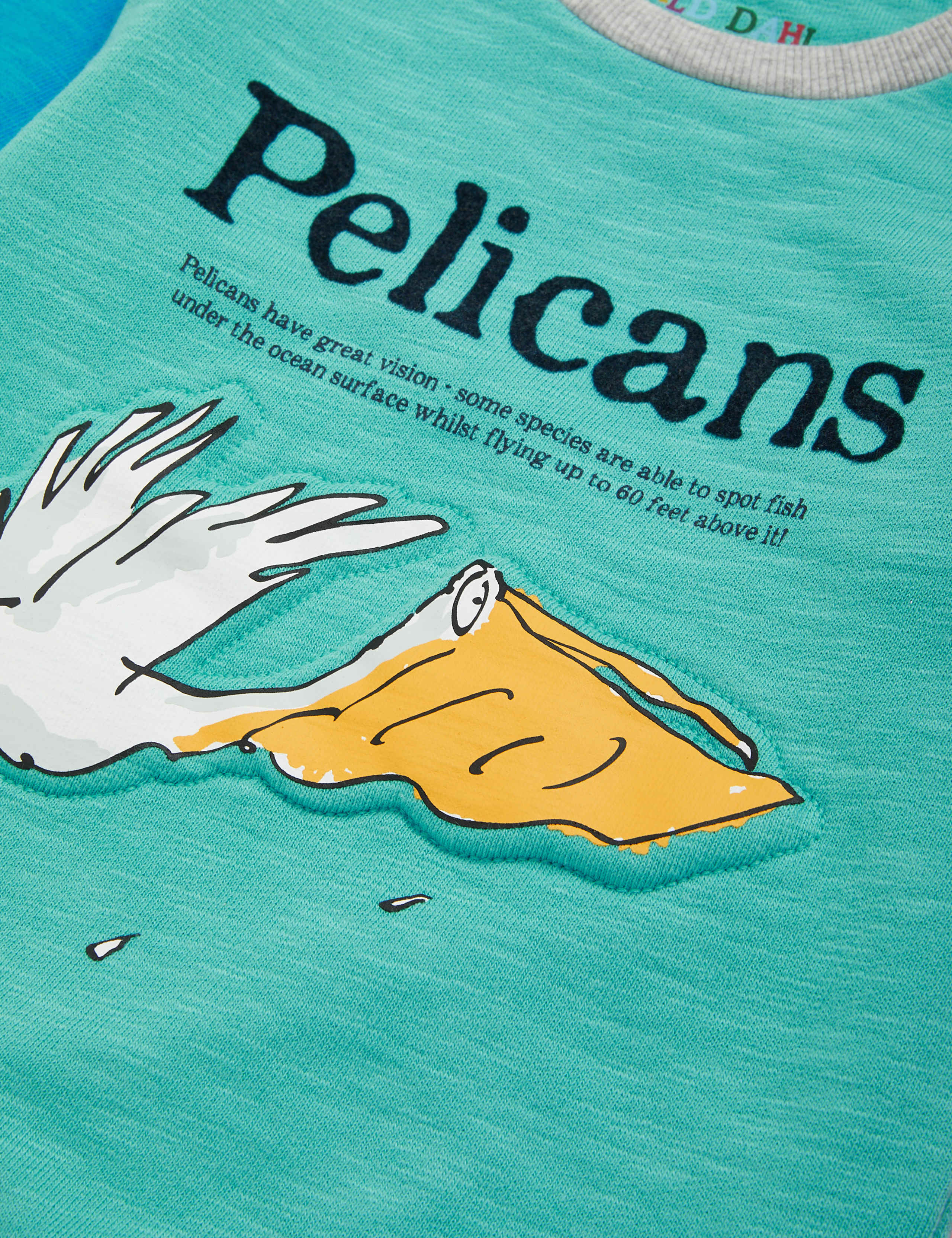 Roald Dahl™ & NHM™ Pelican Sweatshirt (2-7 Yrs) 6 of 6