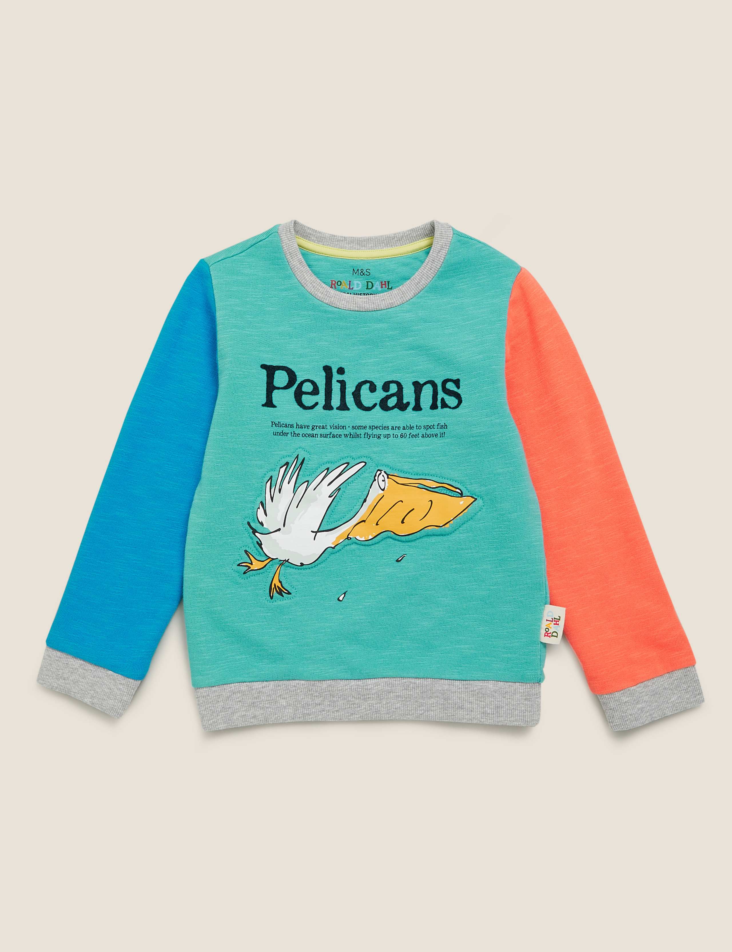 Roald Dahl™ & NHM™ Pelican Sweatshirt (2-7 Yrs) 2 of 6