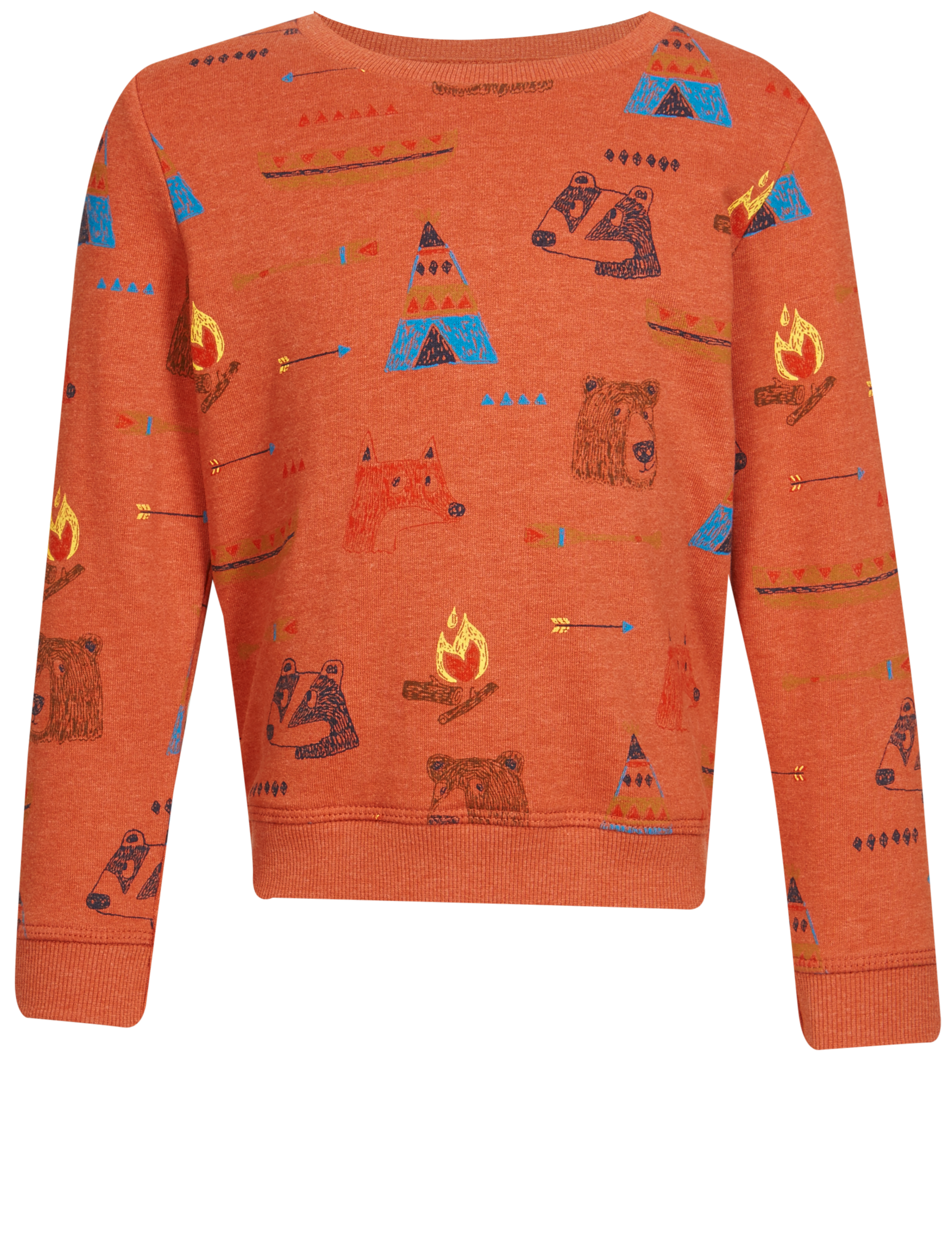 Printed Sweatshirt (3 Months - 5 Years) 4 of 5