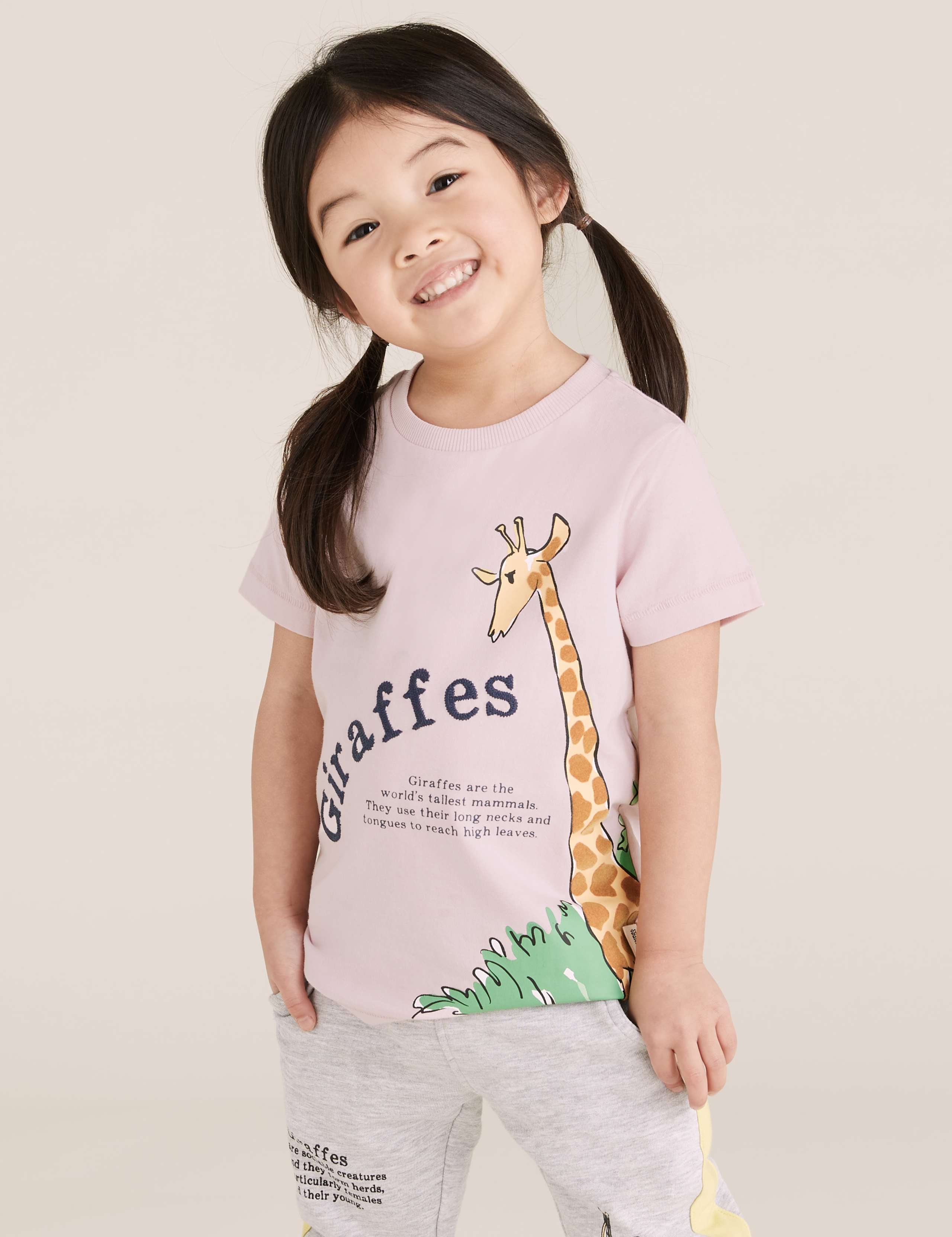 Pure Cotton Roald Dahl™ & NHM™ T-Shirt (2-7 Yrs) 3 of 6