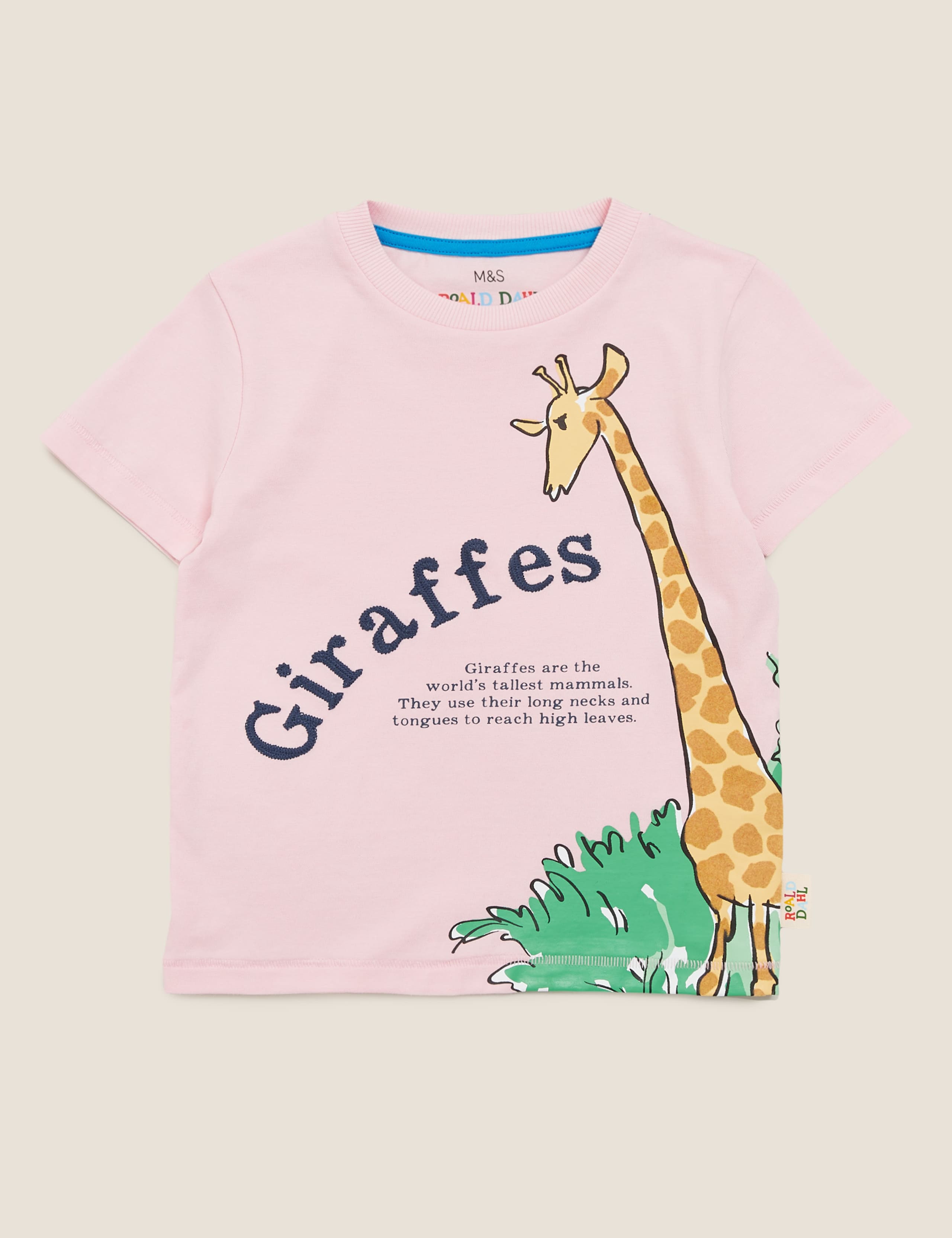 Pure Cotton Roald Dahl™ & NHM™ T-Shirt (2-7 Yrs) 2 of 6
