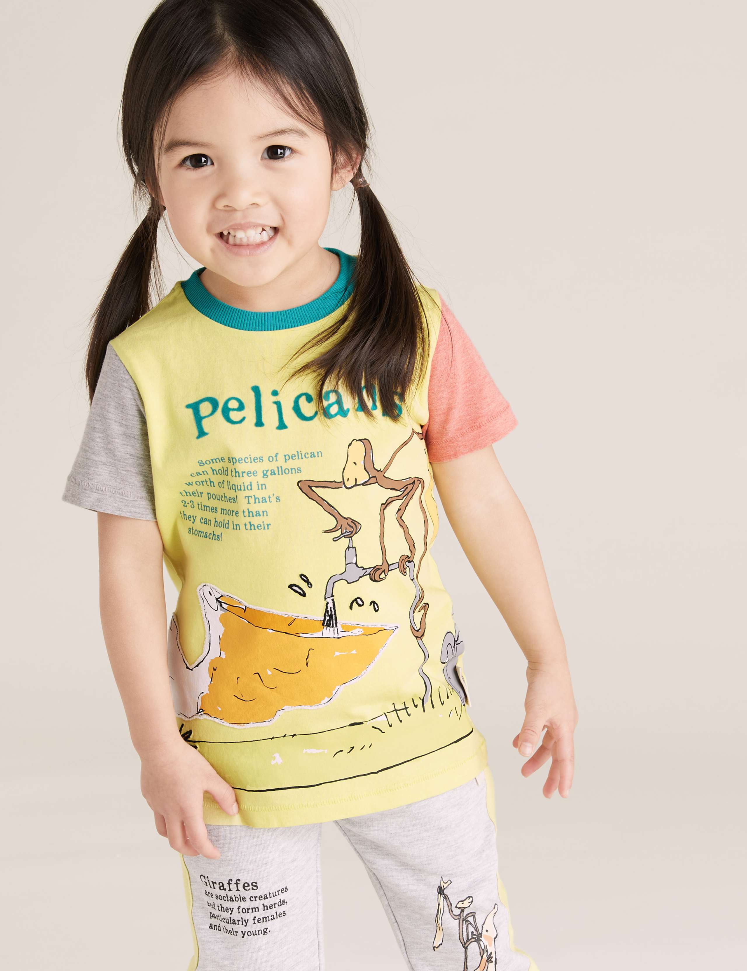 Roald Dahl™ & NHM™ Pelican T-Shirt (2-7 Yrs) 3 of 5