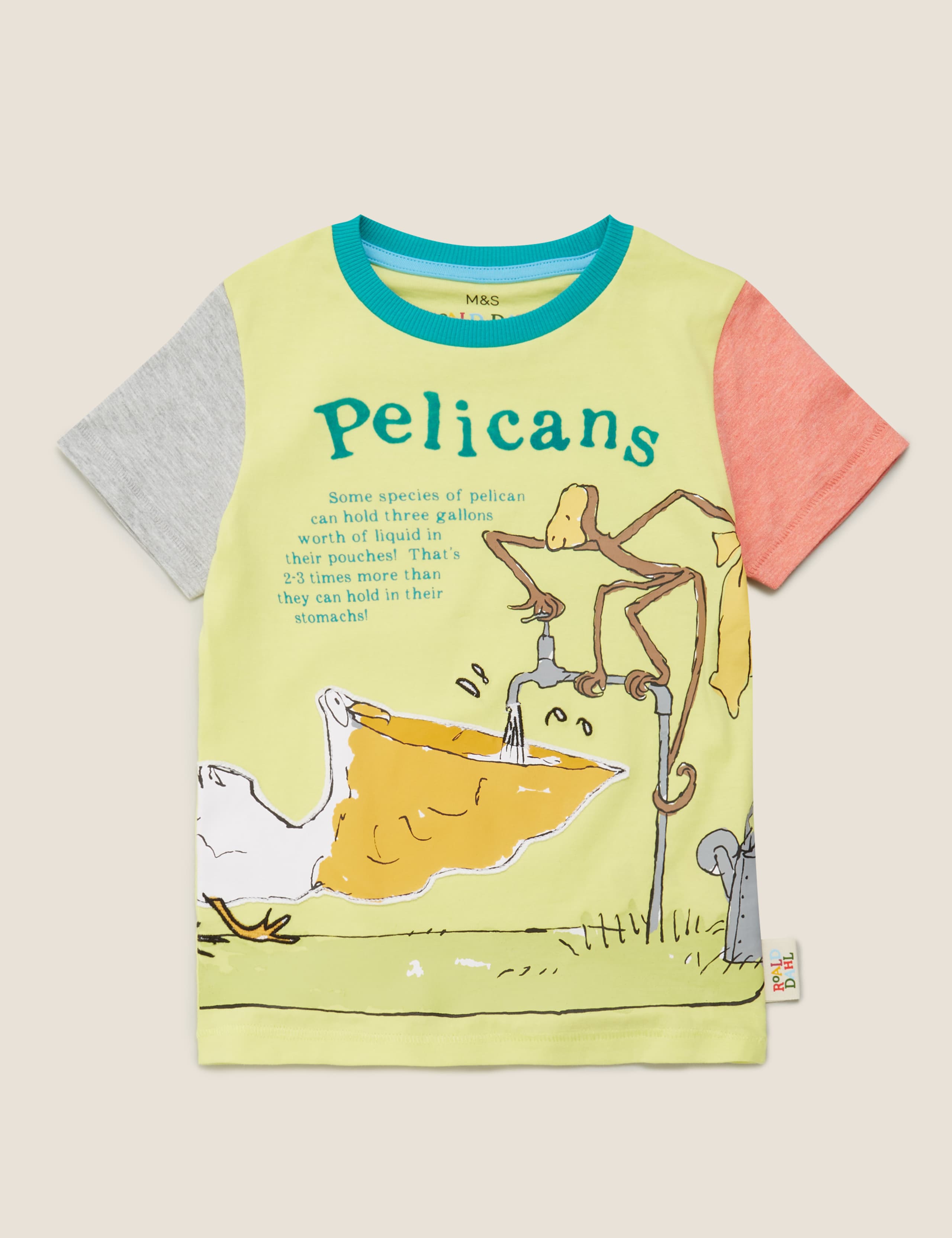 Roald Dahl™ & NHM™ Pelican T-Shirt (2-7 Yrs) 2 of 5