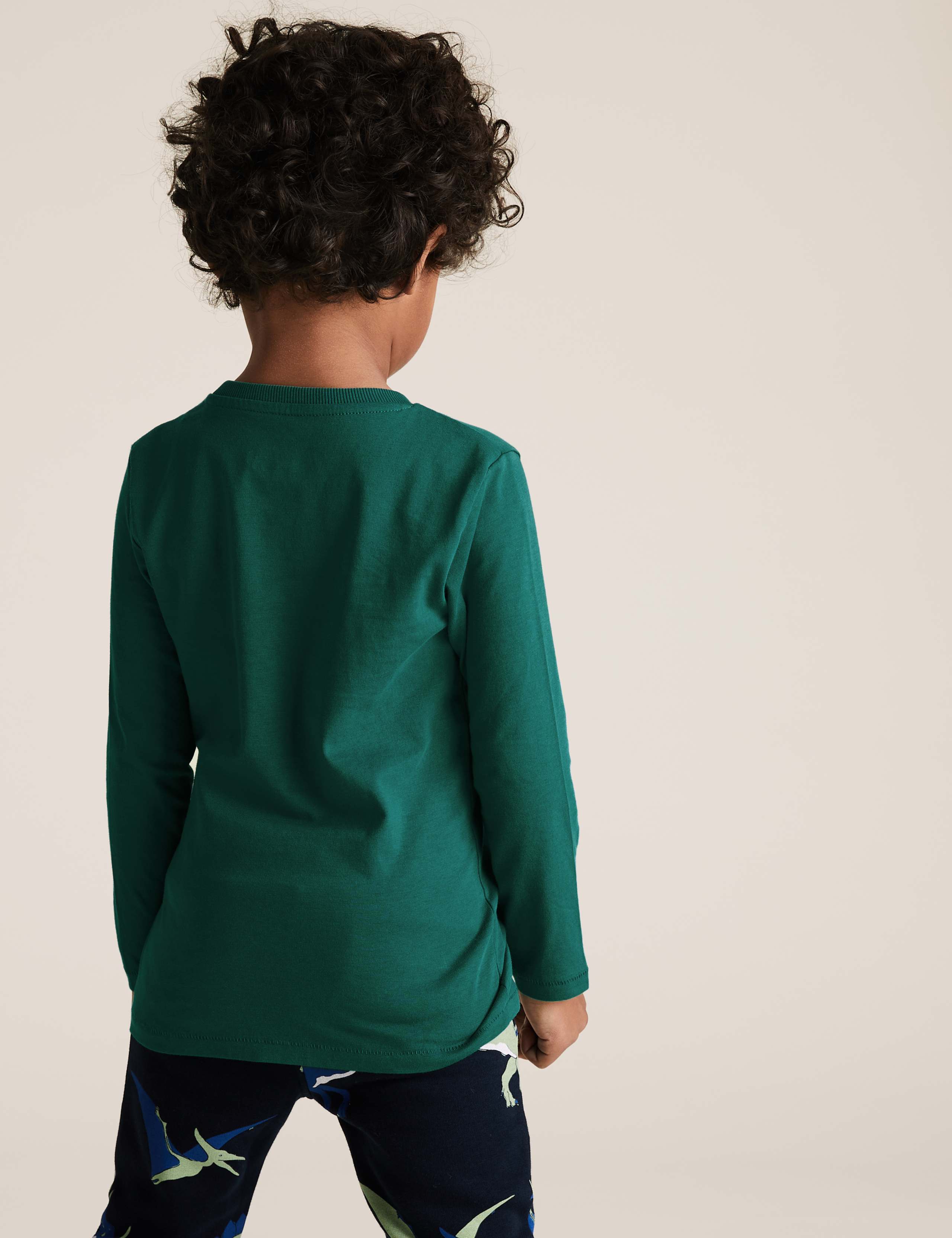 Pure Cotton Stacked Dinosaur Top (2-7 Yrs) 3 of 3