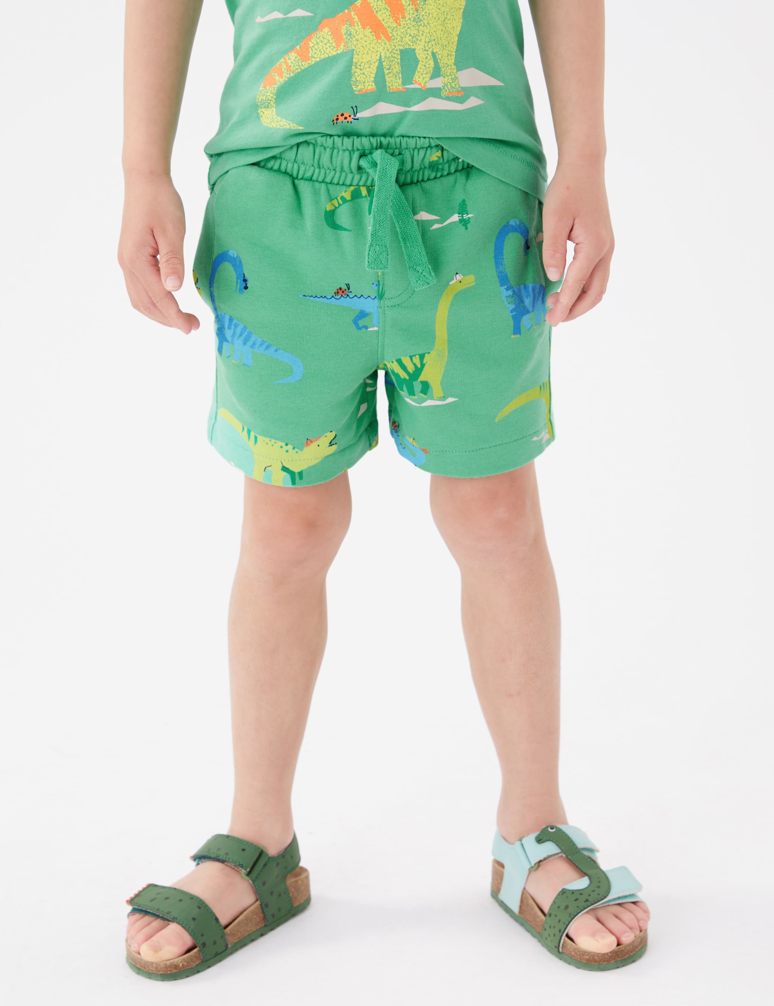 Cotton Rich Dinosaur Top & Bottom Outfit (2-7 Yrs) 5 of 5