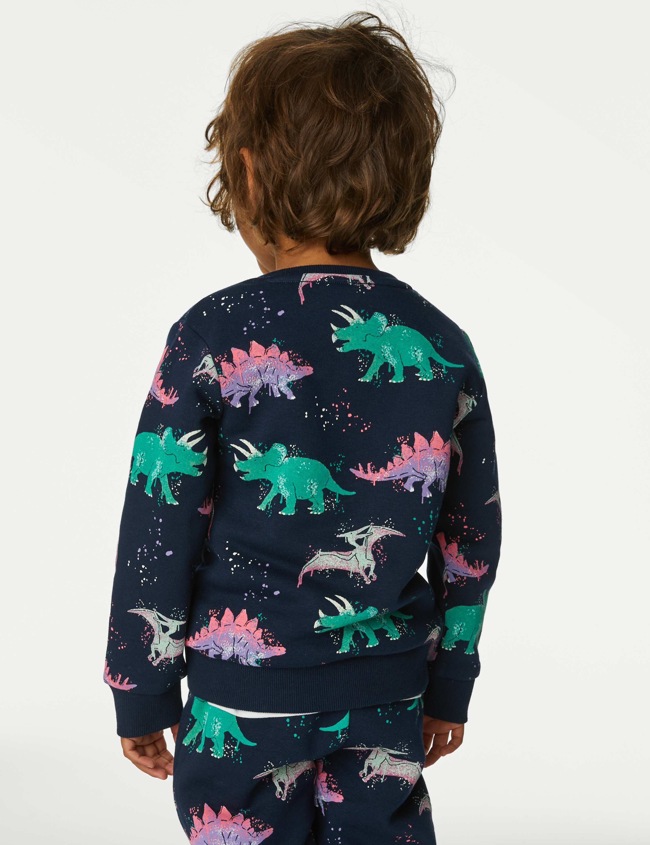 Cotton Rich Dinosaur Sweatshirt (2-8 Yrs) 4 of 4