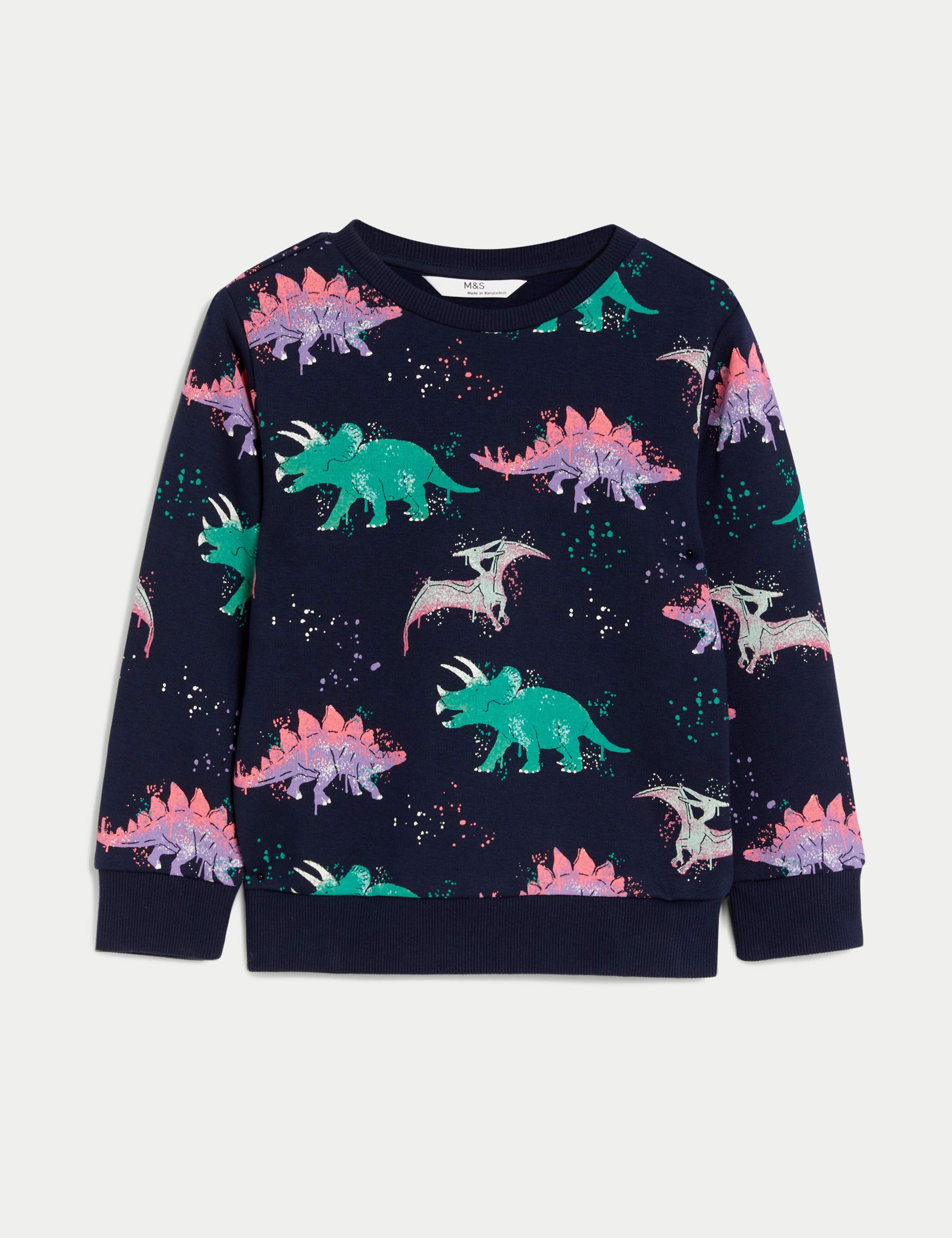 Cotton Rich Dinosaur Sweatshirt (2-8 Yrs) 2 of 4