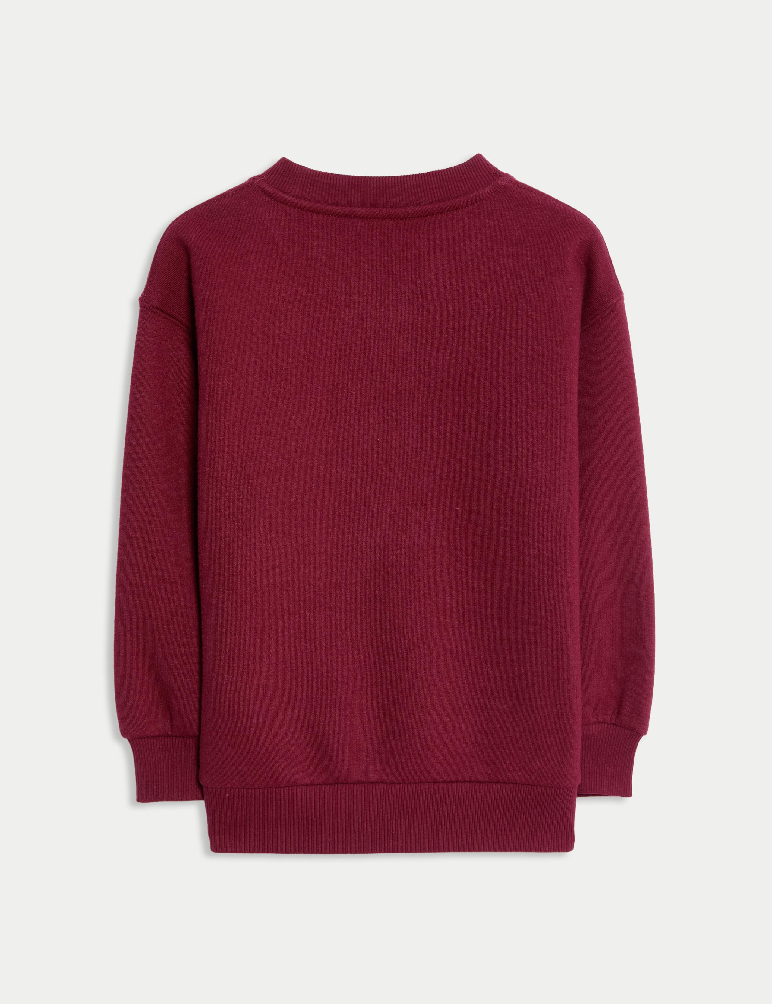 Pure Cotton Graphic Sweatshirt (2-8 Yrs) 6 of 6