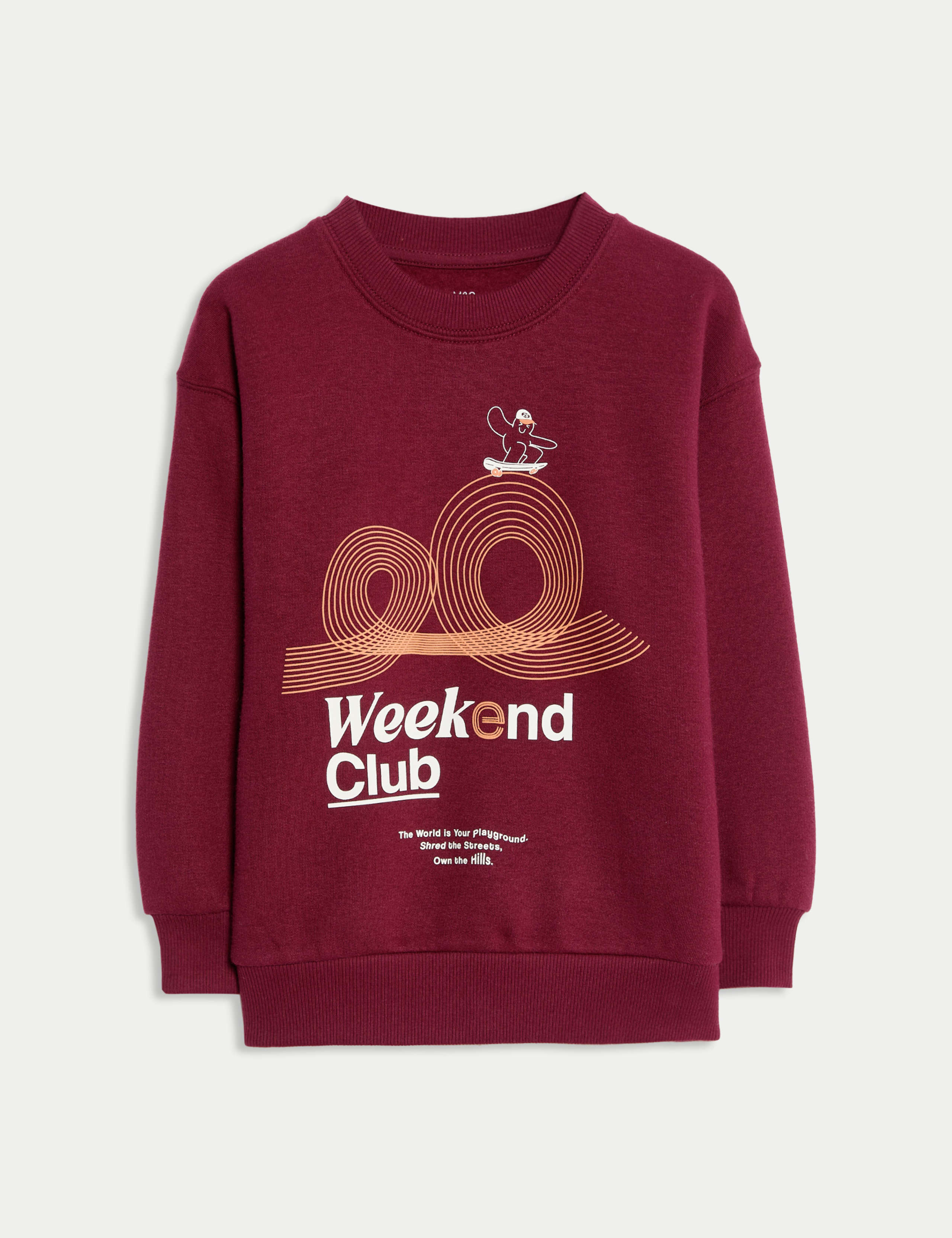 Pure Cotton Graphic Sweatshirt (2-8 Yrs) 2 of 6