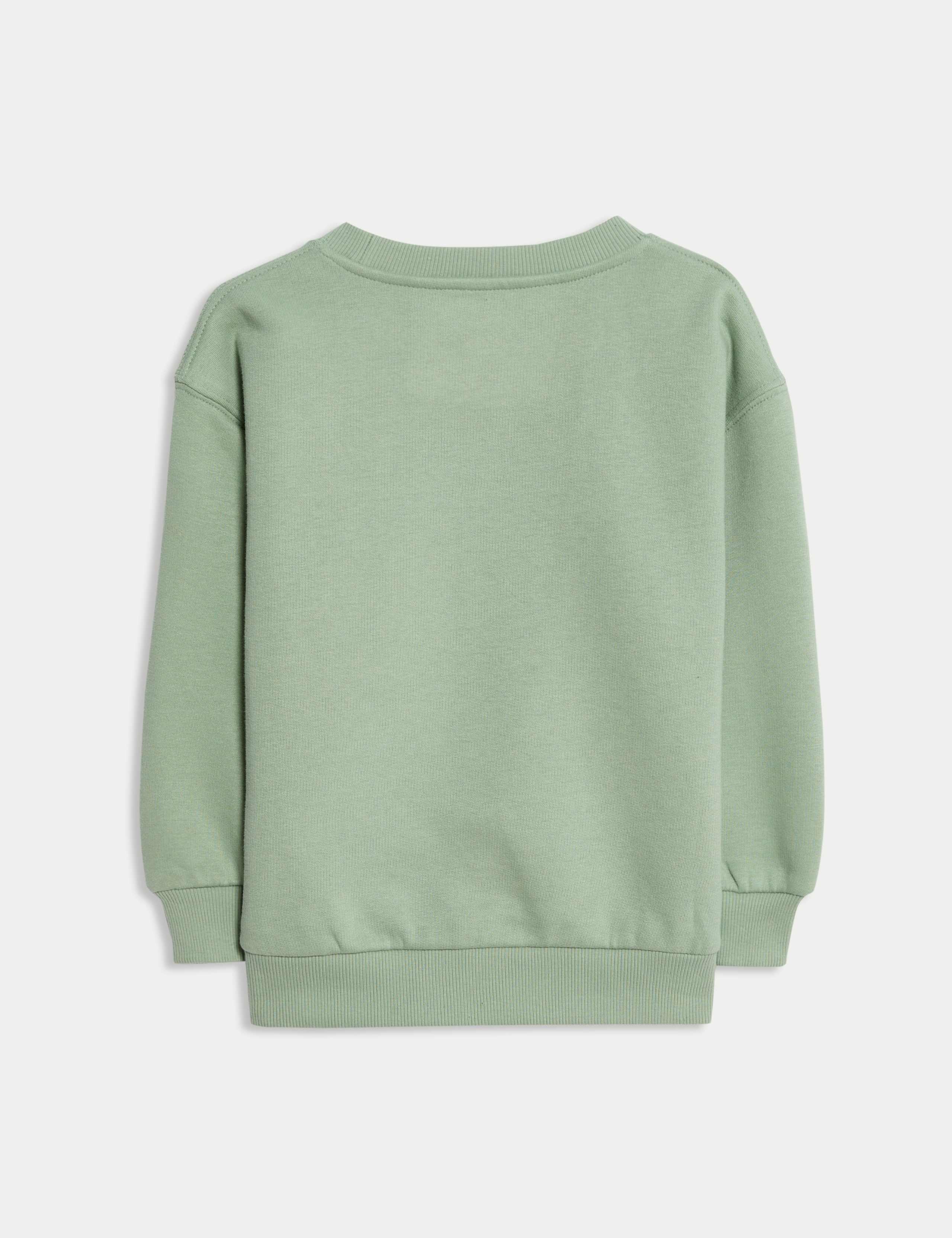 Cotton Rich Graphic Sweatshirt (2-8 Yrs) 6 of 6