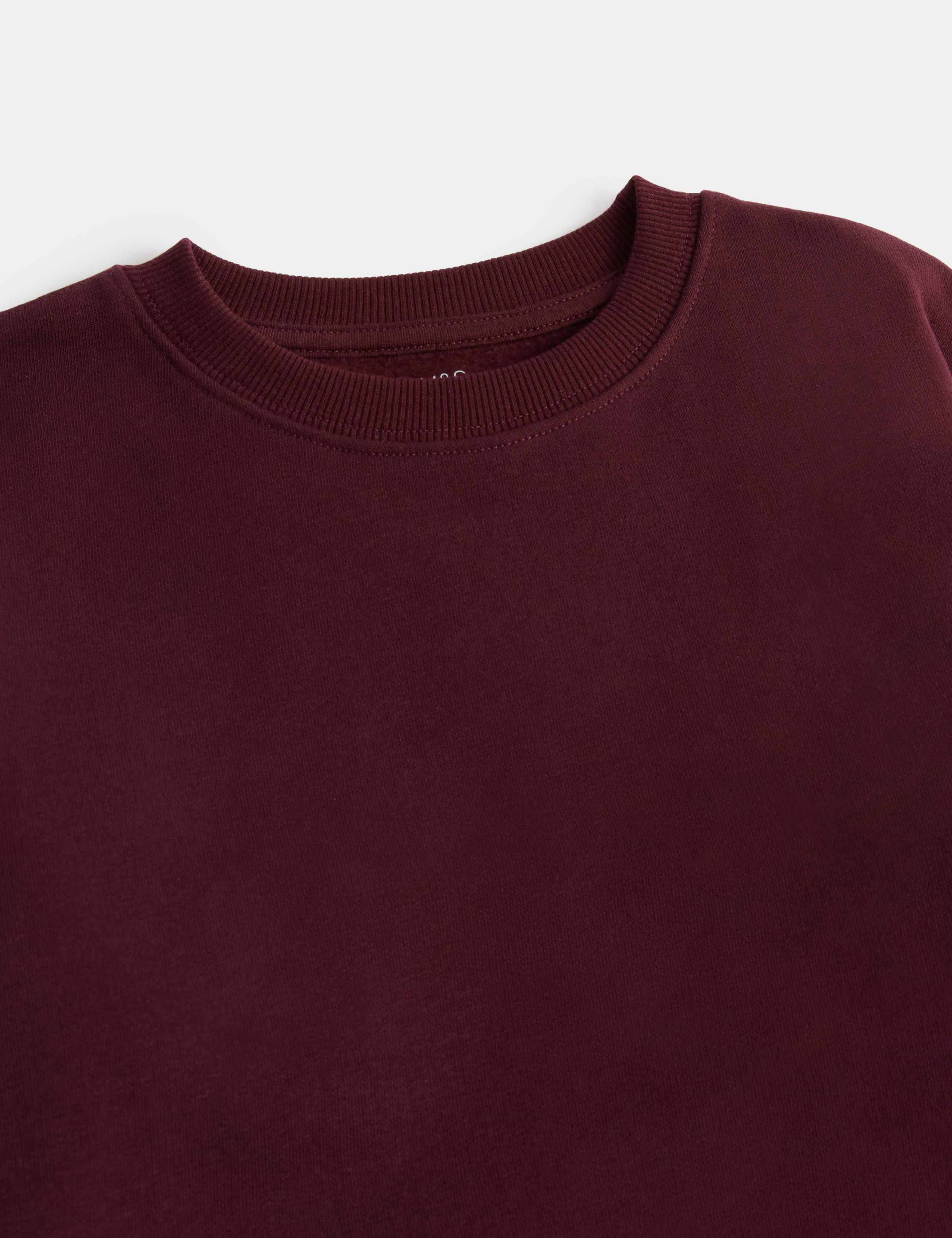 Cotton Rich Sweatshirt (2-8 Yrs) 2 of 2