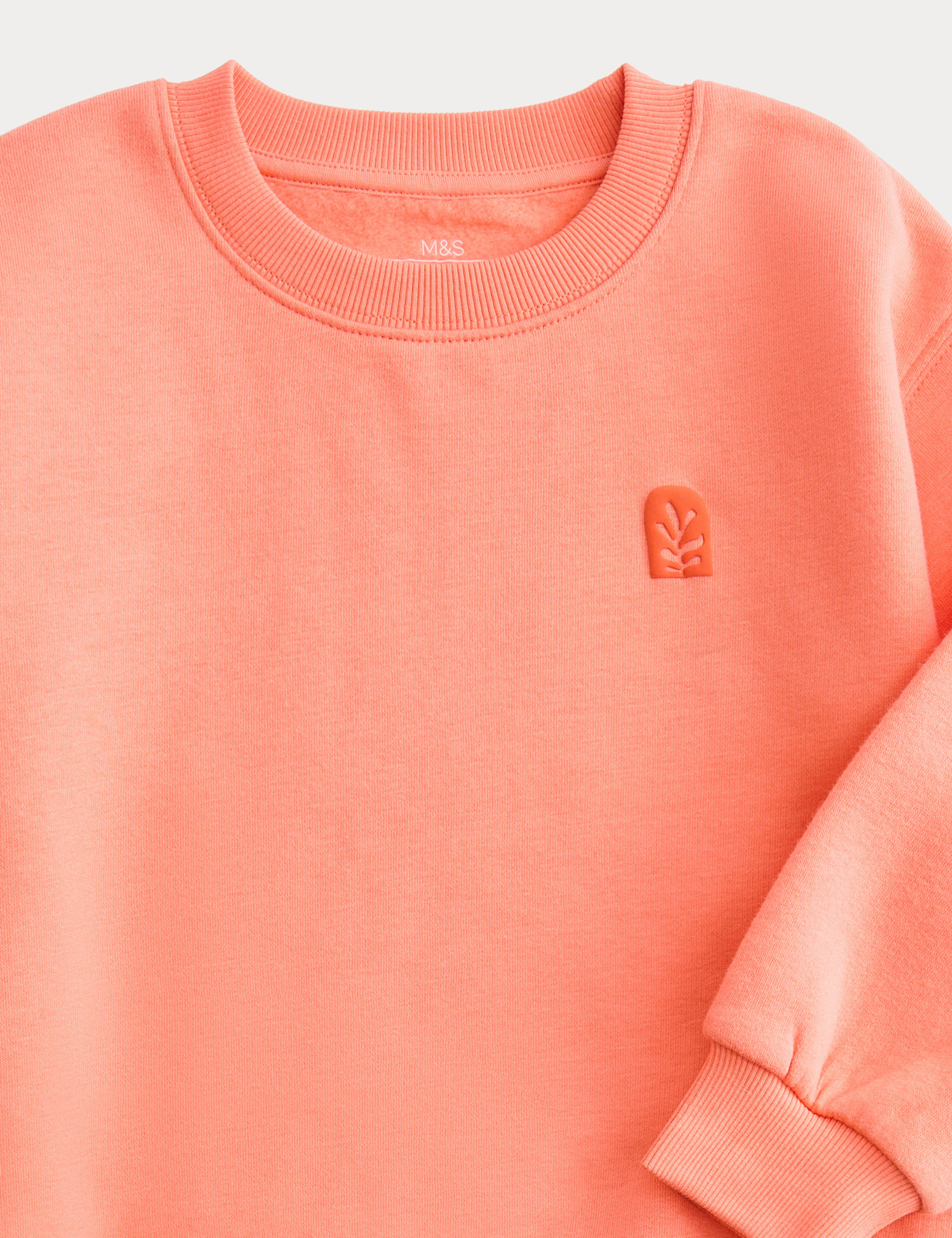 Cotton Rich Leaf Graphic Sweatshirt (2-8 Yrs) 2 of 2