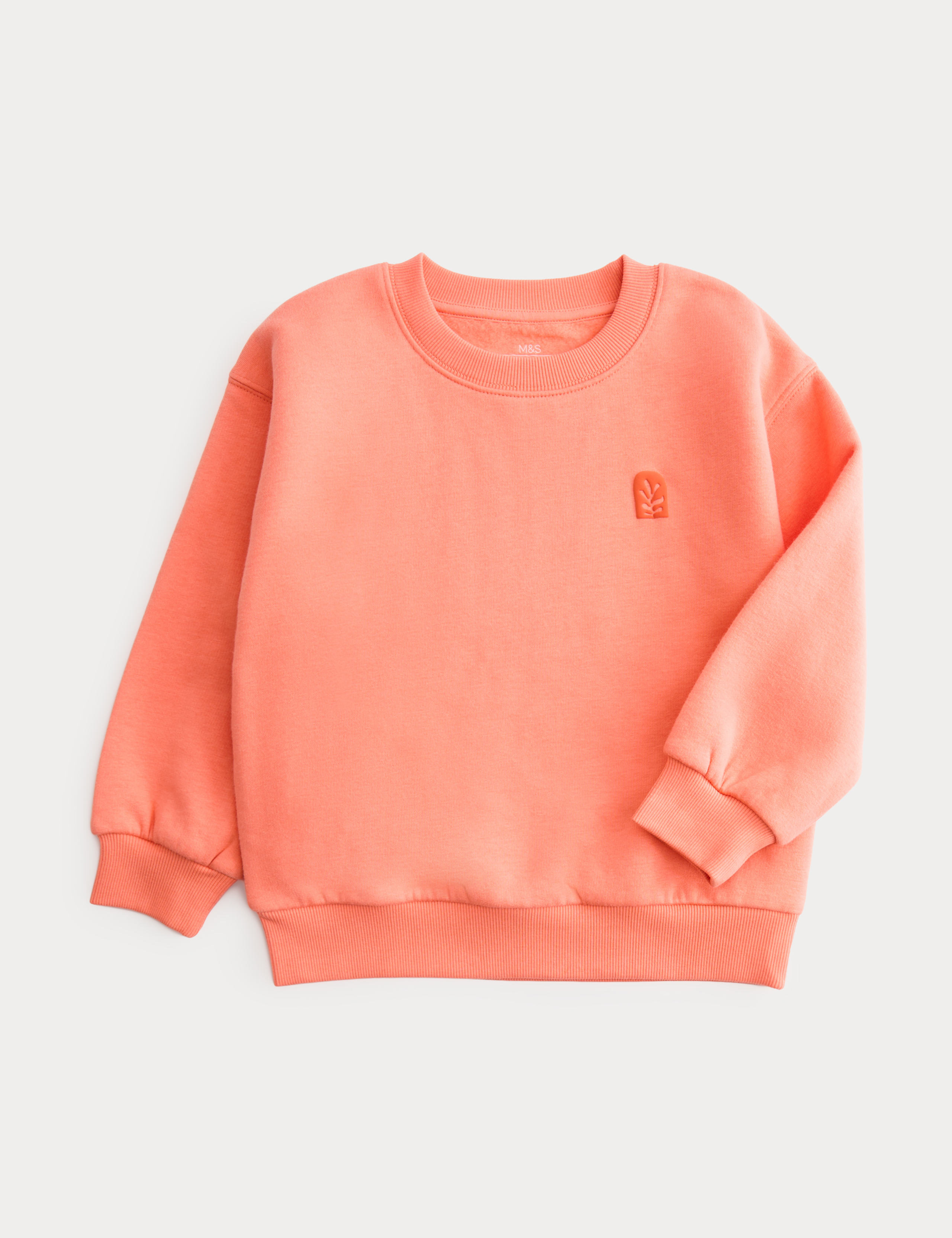 Cotton Rich Leaf Graphic Sweatshirt (2-8 Yrs) 1 of 2