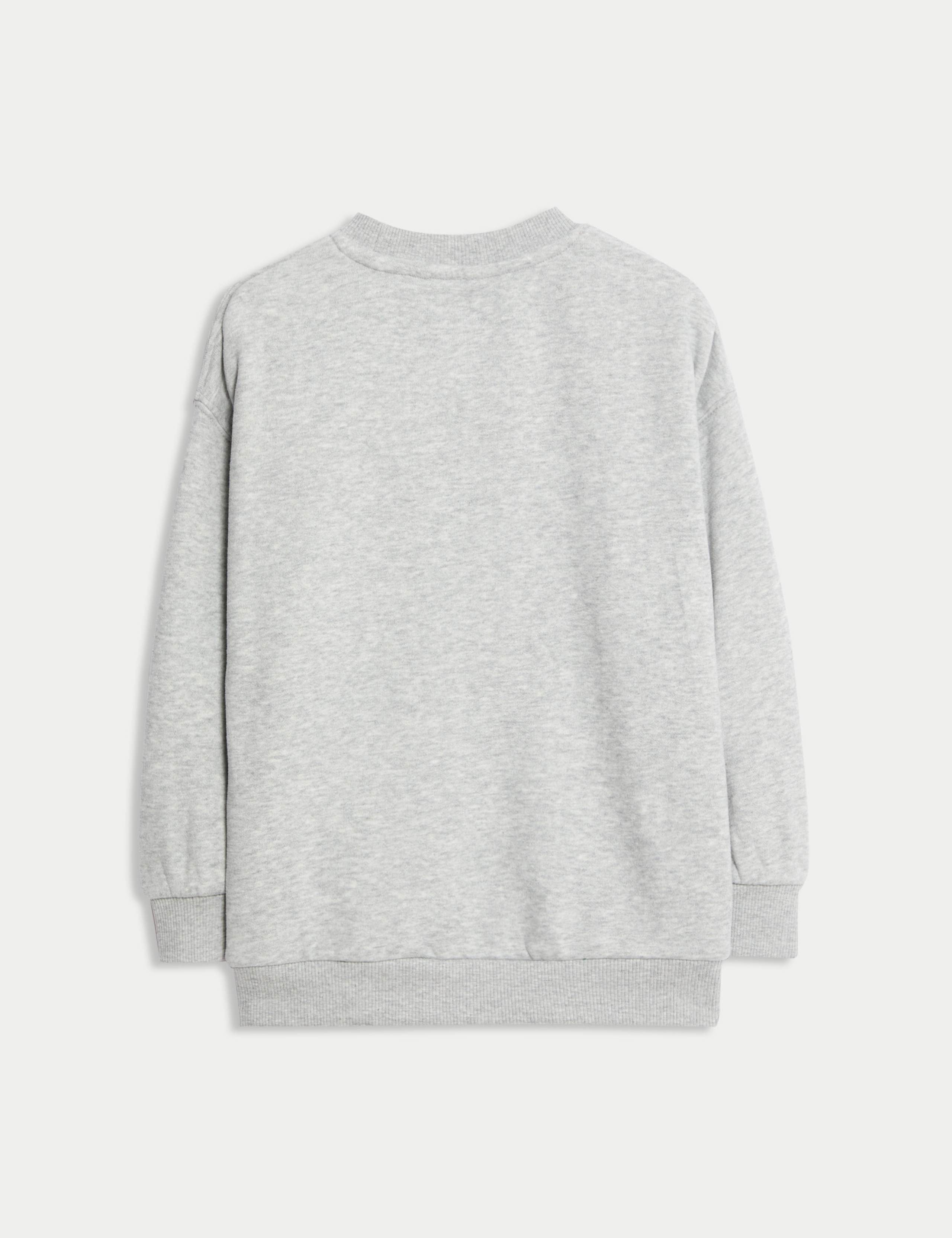Cotton Rich Sweatshirt (2-8 Yrs) 2 of 2