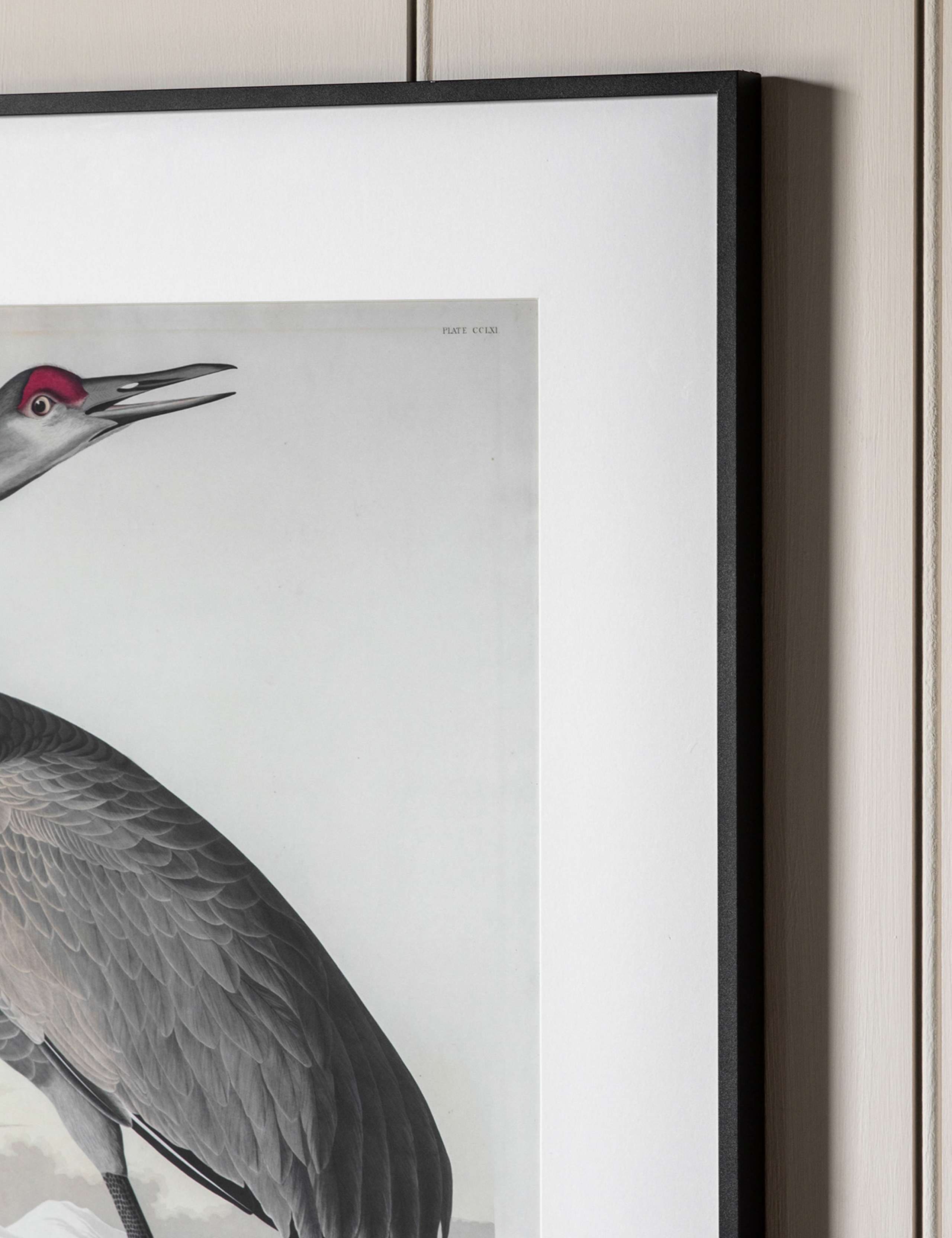 Set of 2 Exotic Fowl Study Rectangle Framed Art 4 of 4