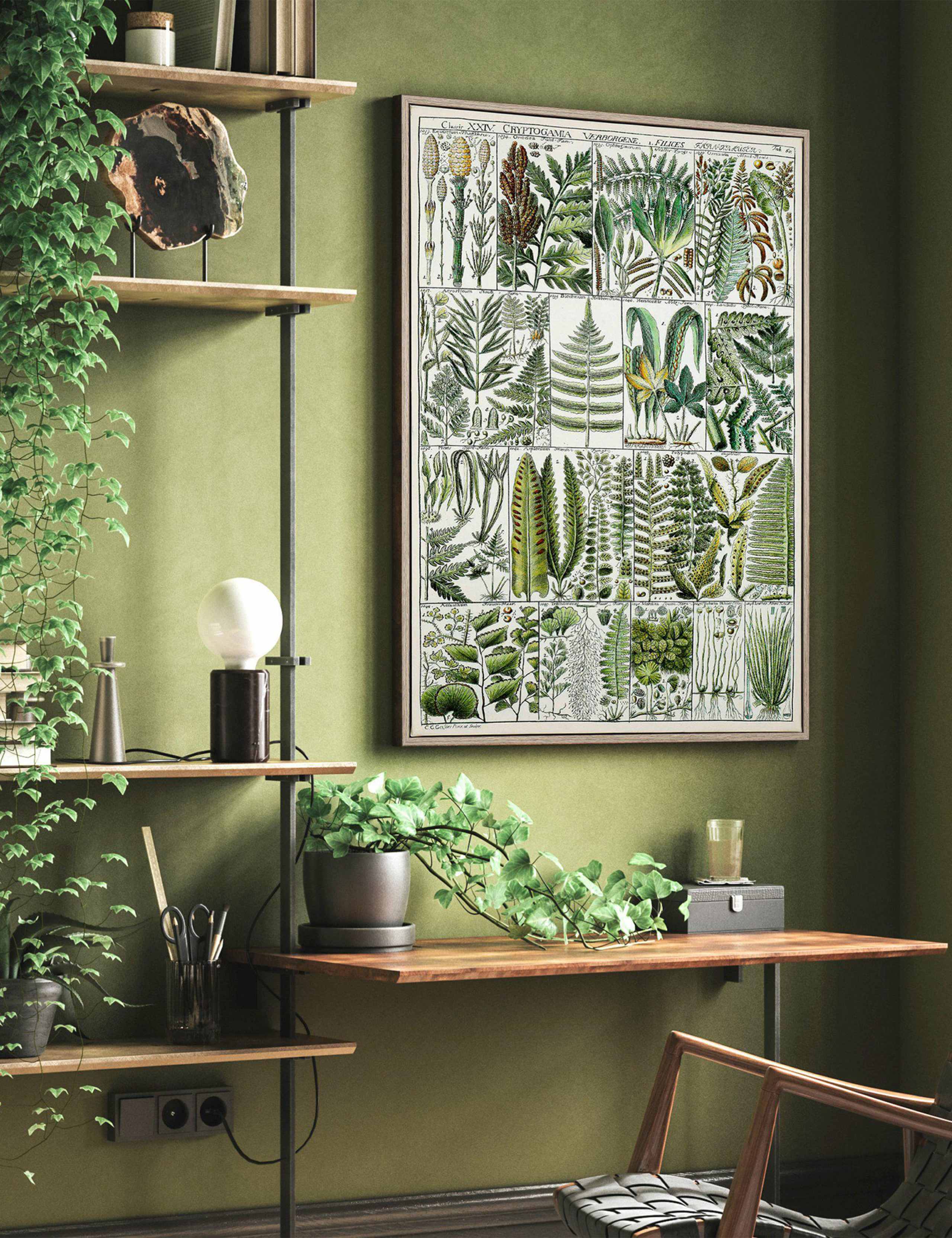 The Botanist Botanical Framed Art 1 of 2