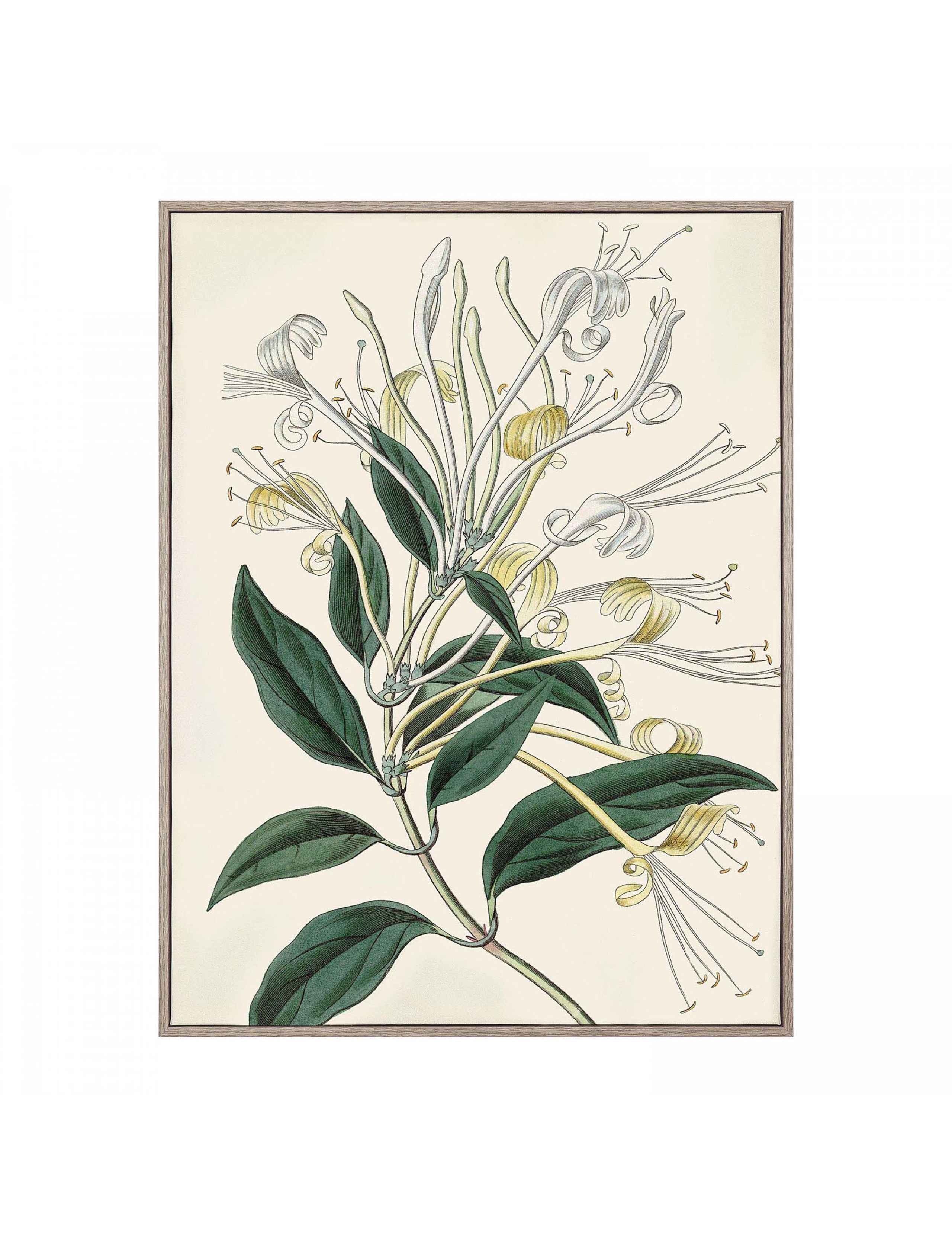 Flourishing Foliage Rectangle Framed Art 2 of 2