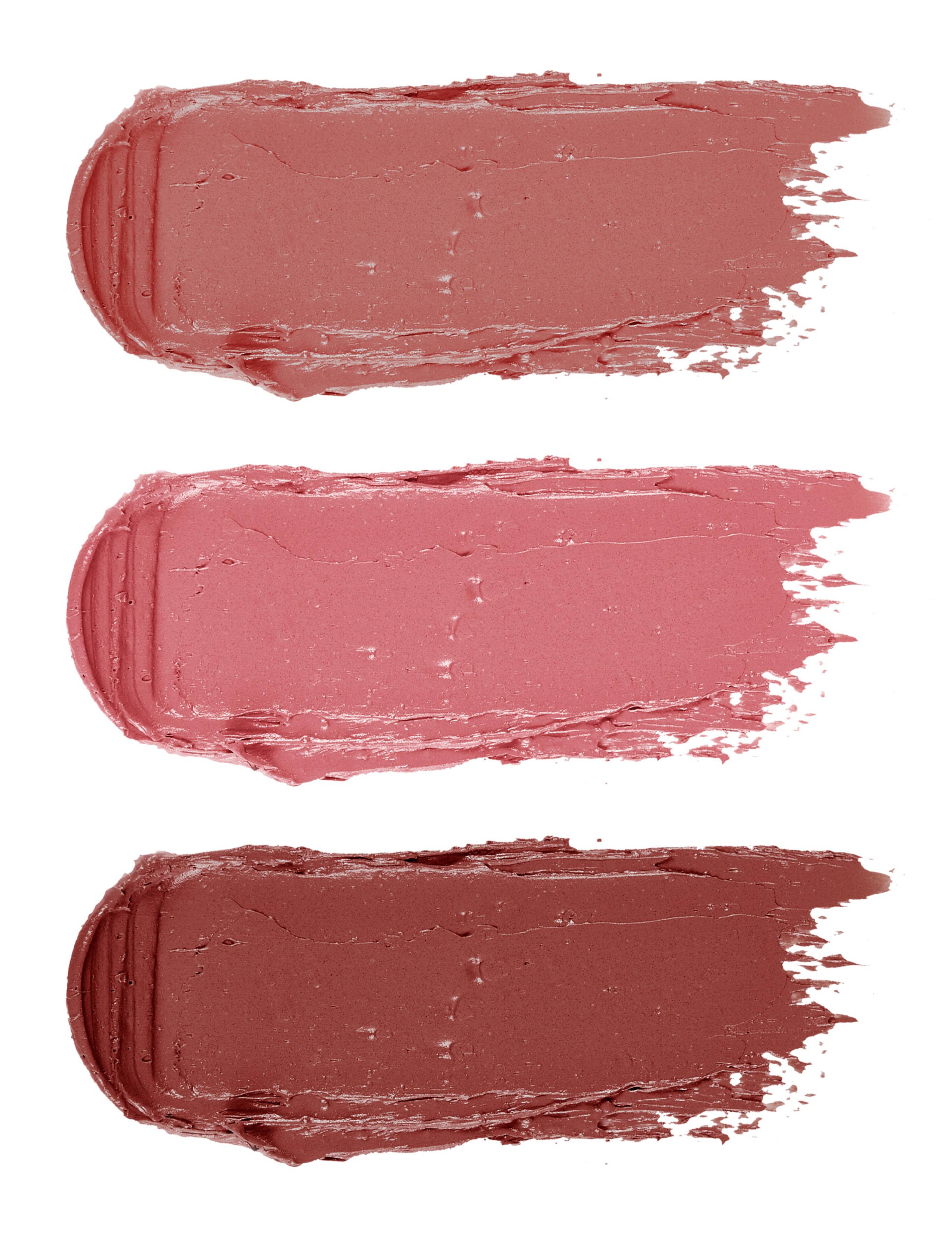 Lipstick Trio 3 of 3