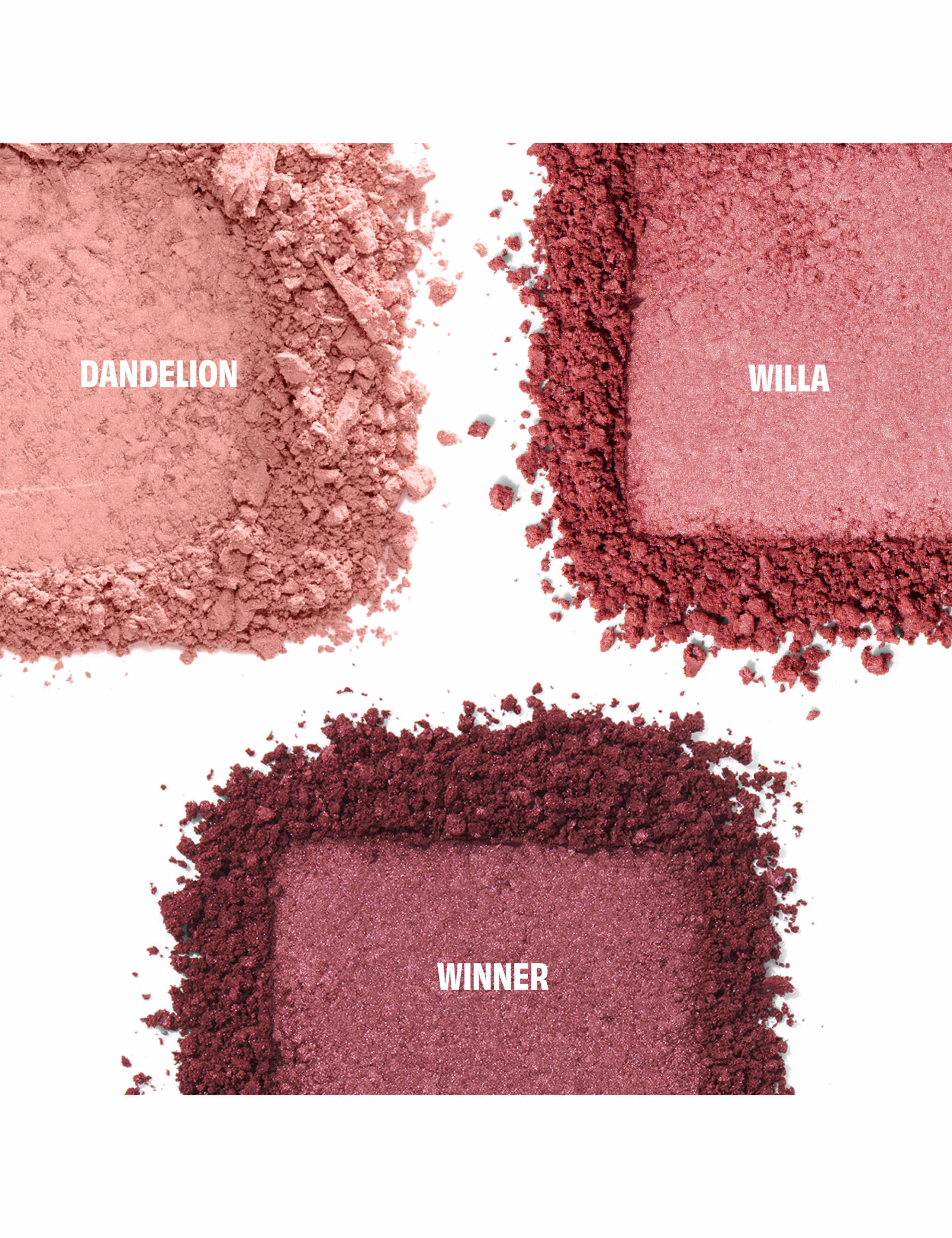 Cheek Score Blush Limited Edition Palette Worth £49.50 2 of 7