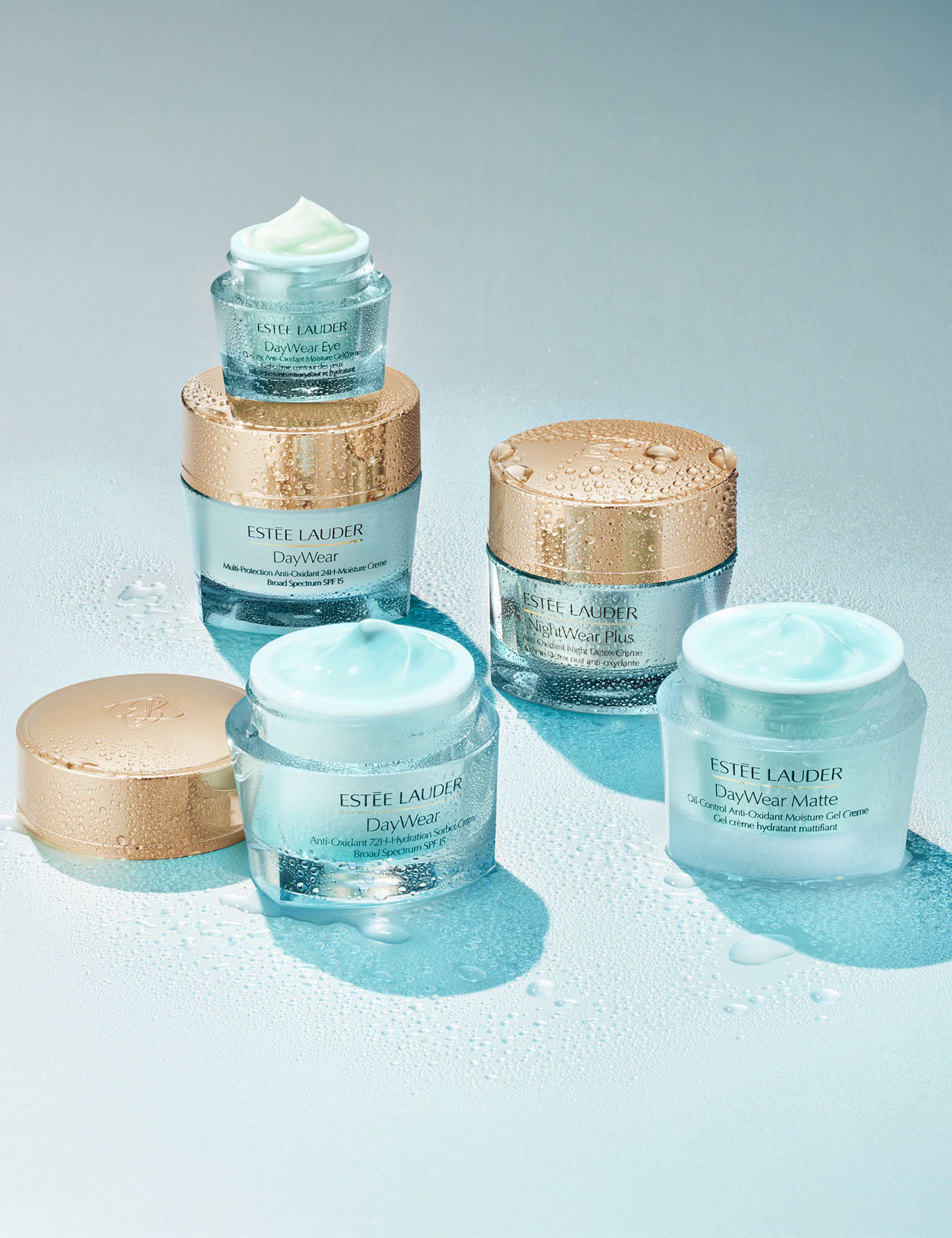 DayWear Multi-Protection Anti-Oxidant Moisturiser SPF 15 Normal/Combination Skin 50ml 5 of 5
