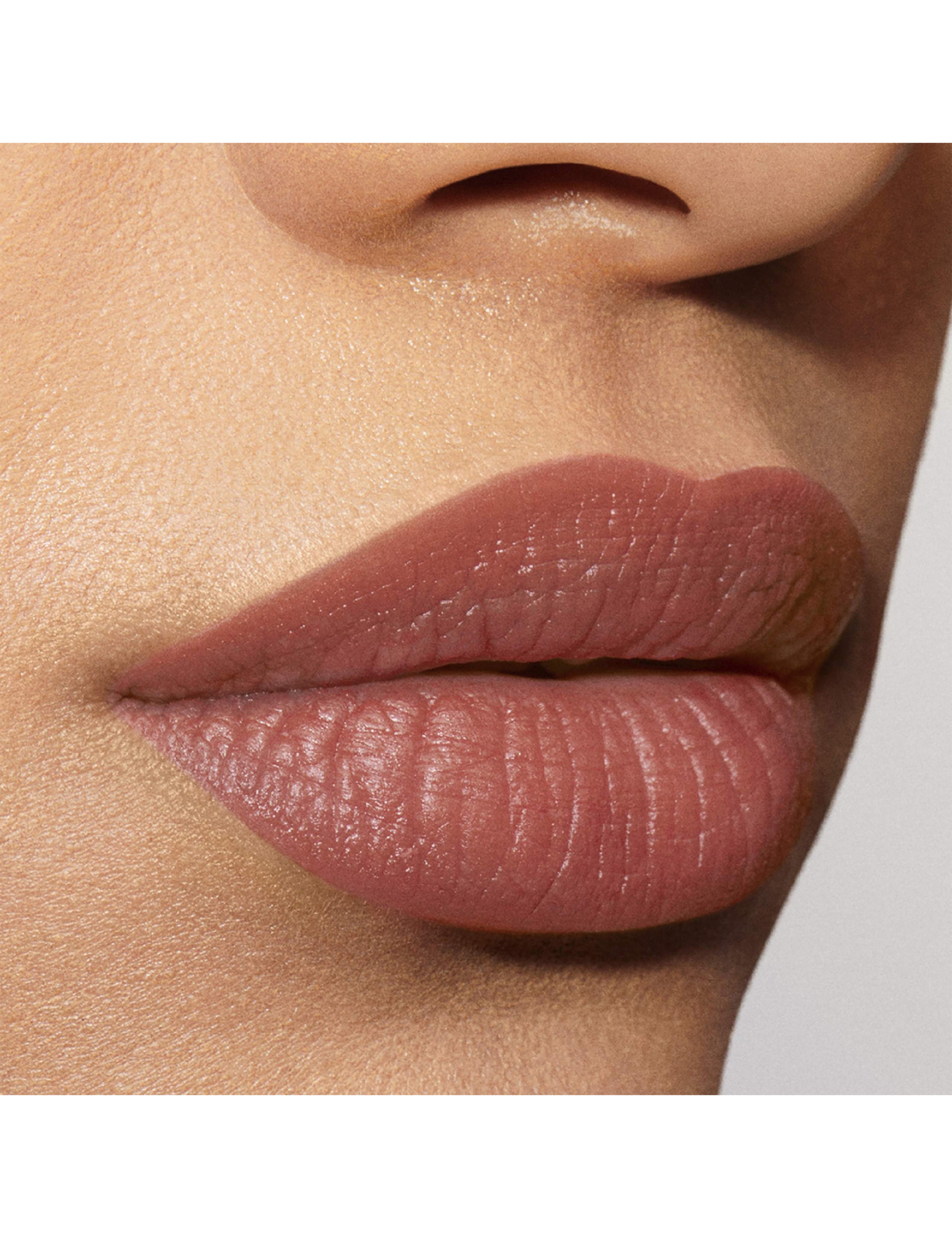 Pure Color Explicit Silk Matte Lipstick 0.7g 3 of 5