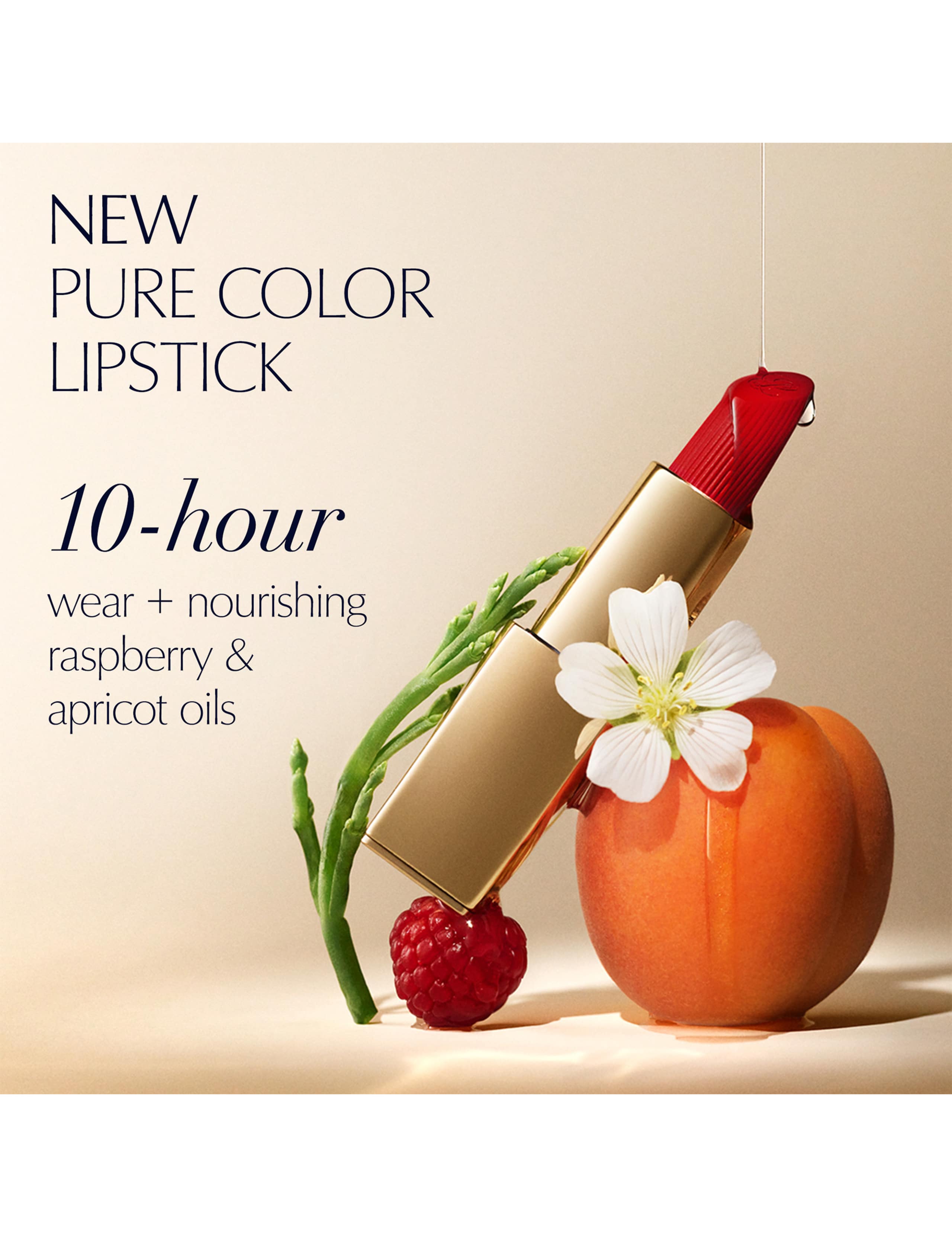 Pure Color Creme Lipstick 4 of 5