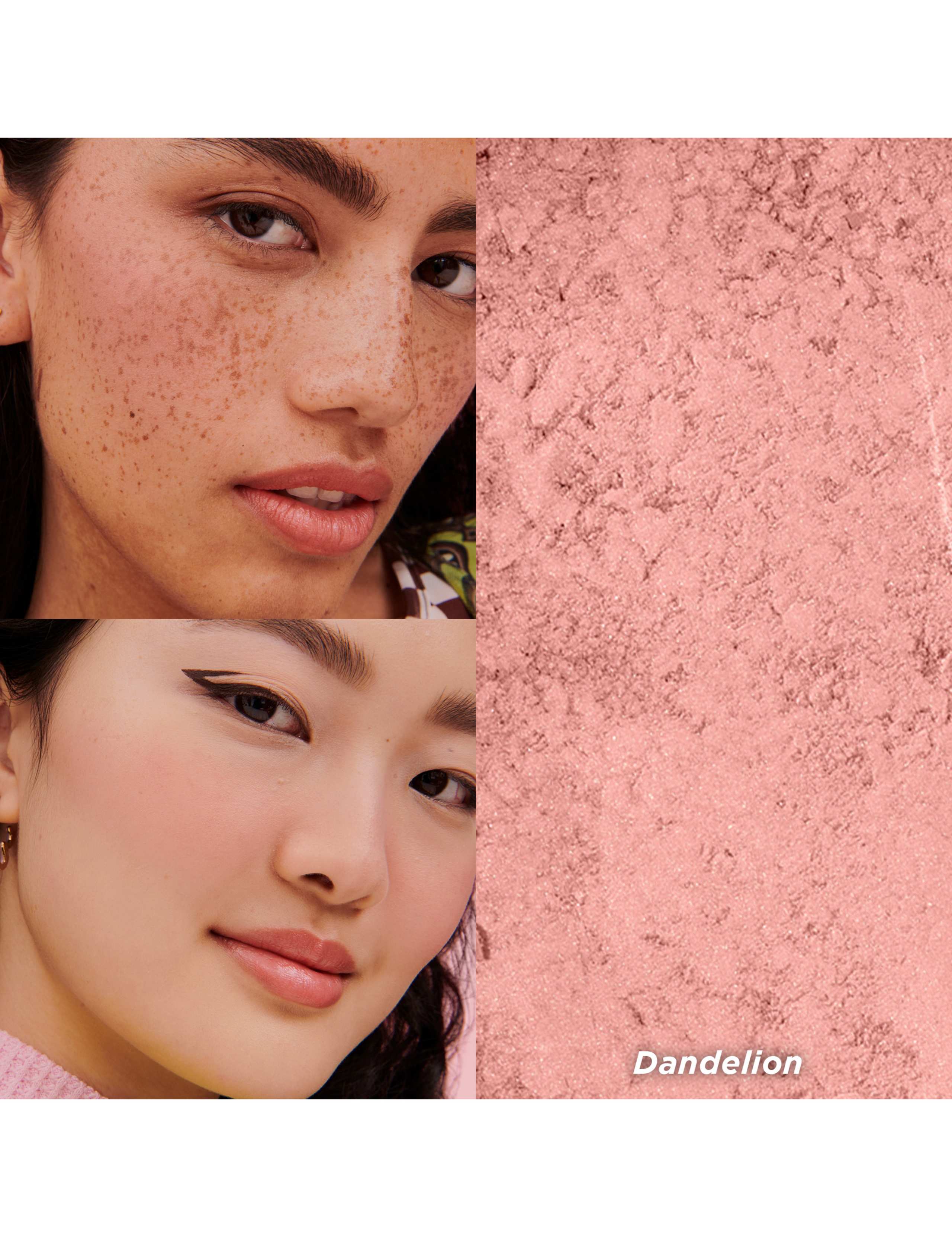 Dandelion Powder Blusher Mini 2.5g 4 of 6