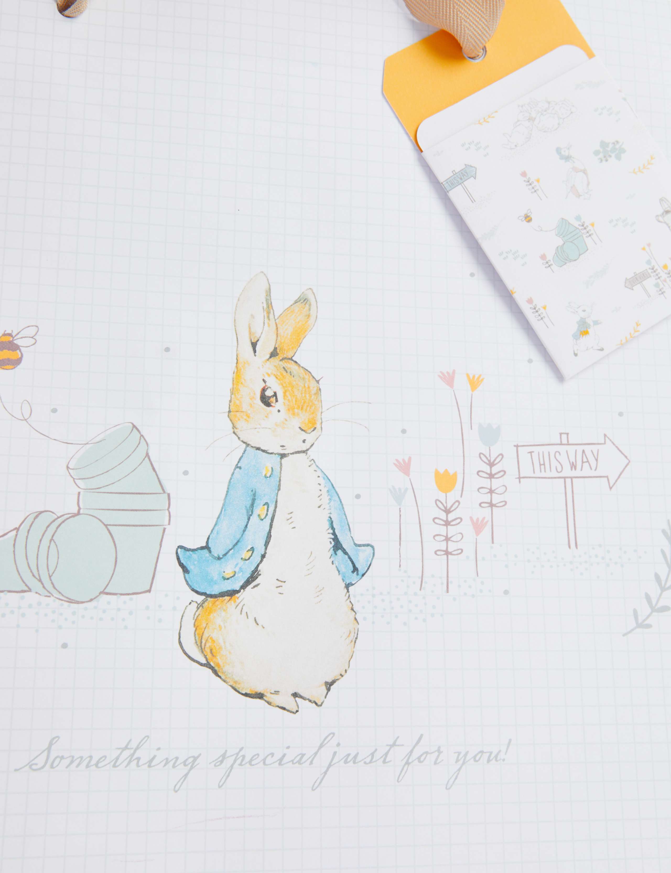 Large Peter Rabbit™ Gift Bag 3 of 3