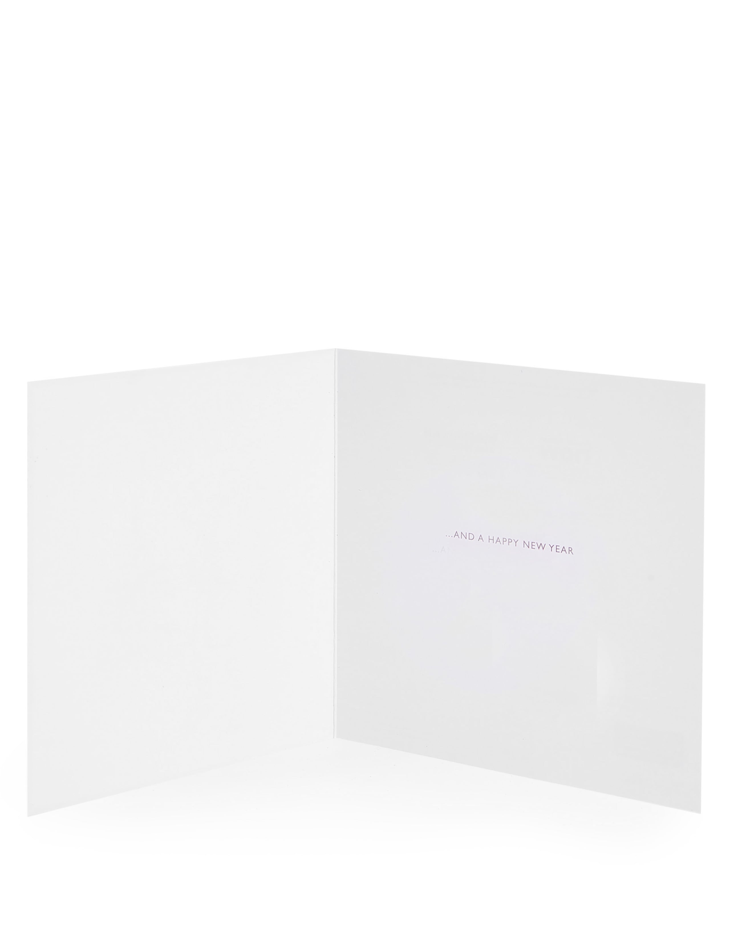 Traditional Santa Christmas Charity Cards Pack of 20 2 of 3