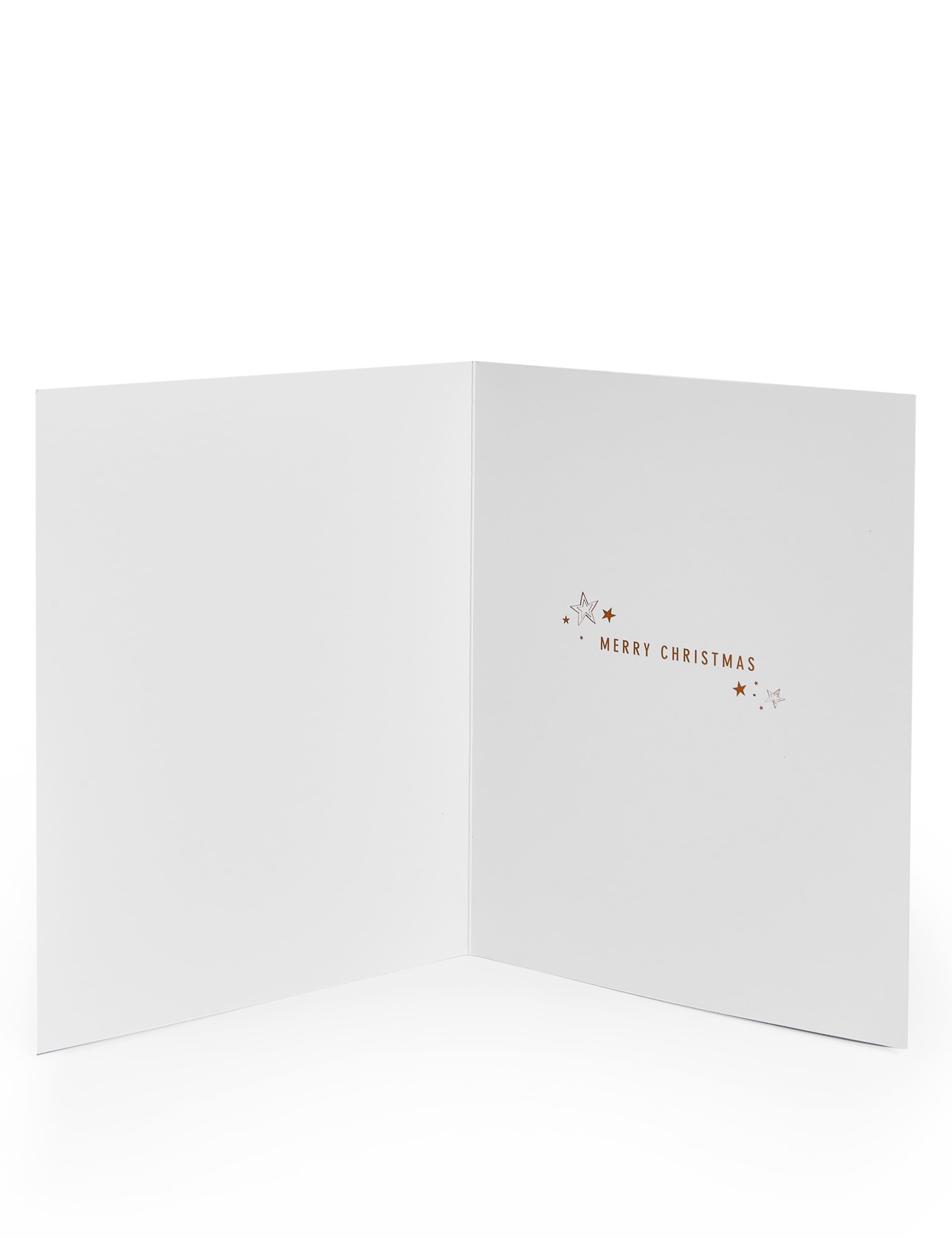 Husband Fun Christmas Charity Card 3 of 4