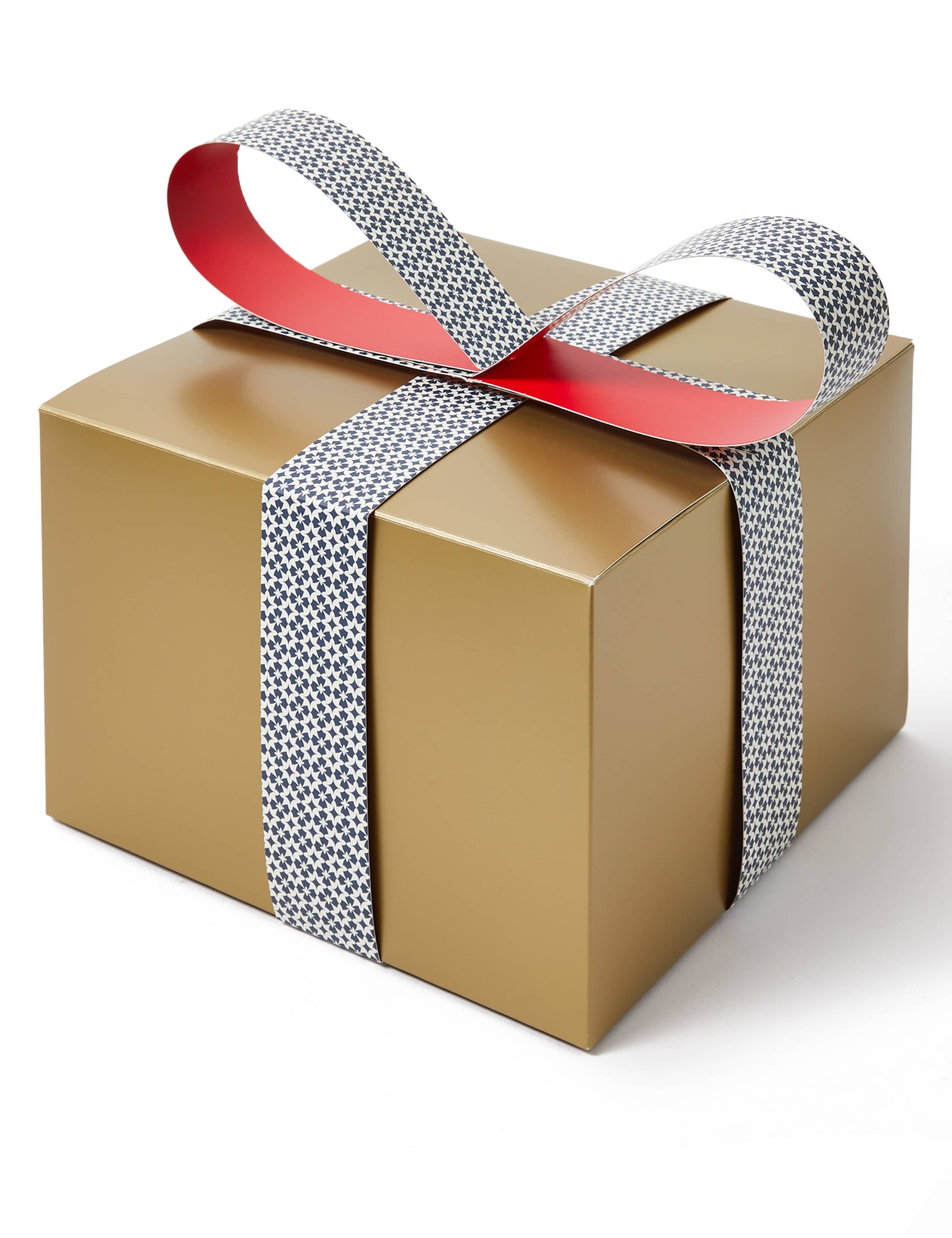 Large Christmas Gift Box with Paper Bow 1 of 3