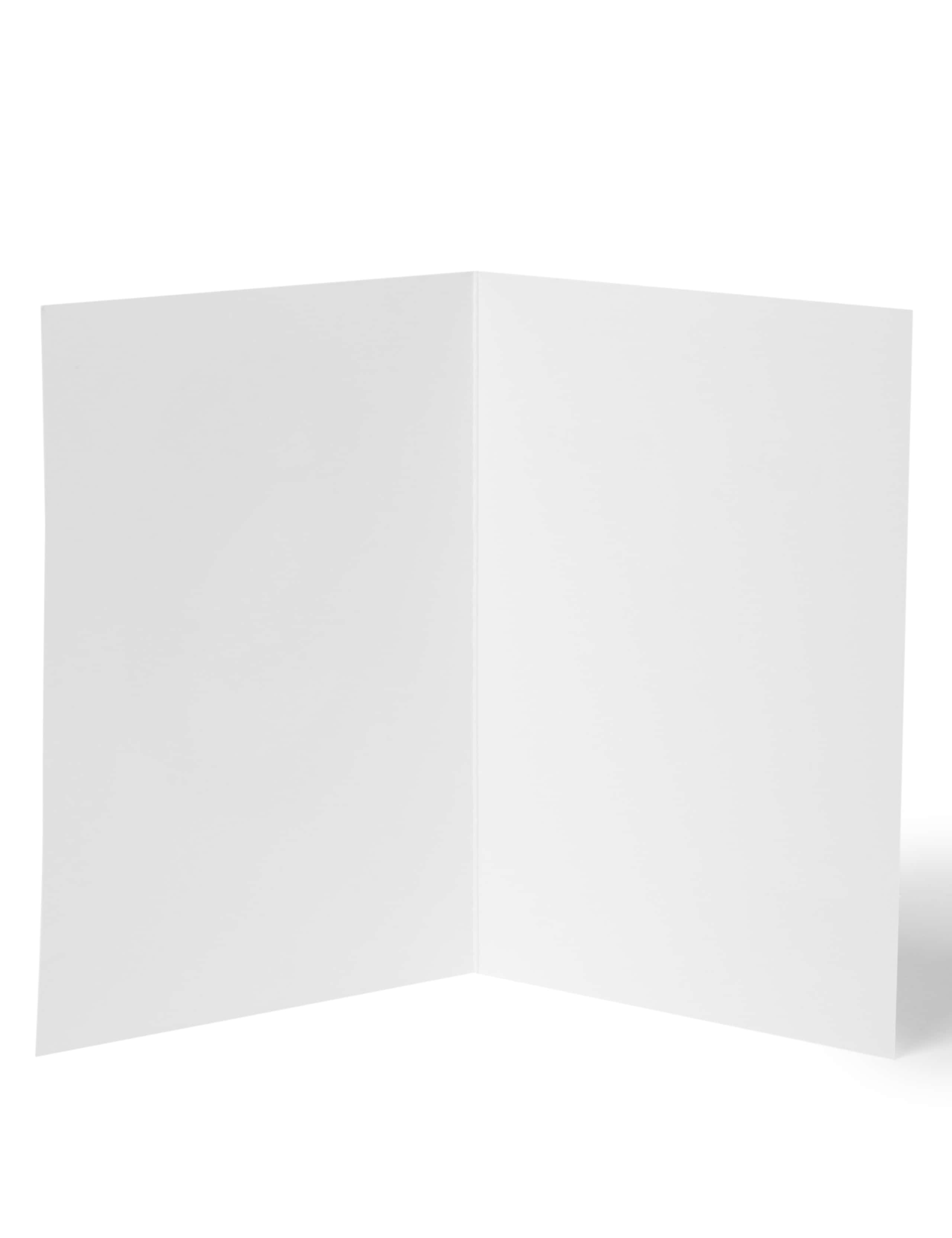 Cute Winter Animals Charity Christmas Cards - Pack of 20 2 of 3