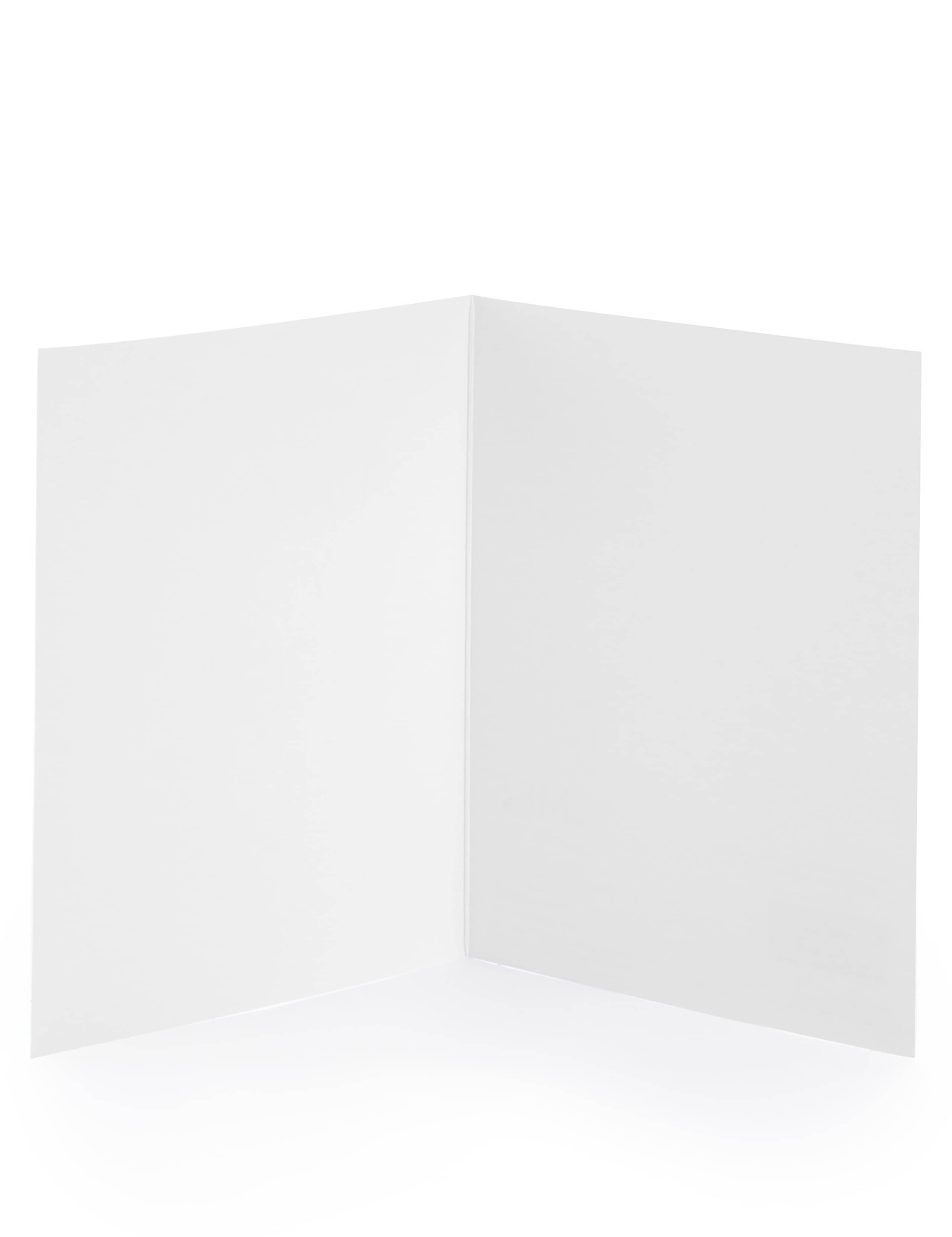 Pack of 8 Illustrated Bear Blank Cards 2 of 3