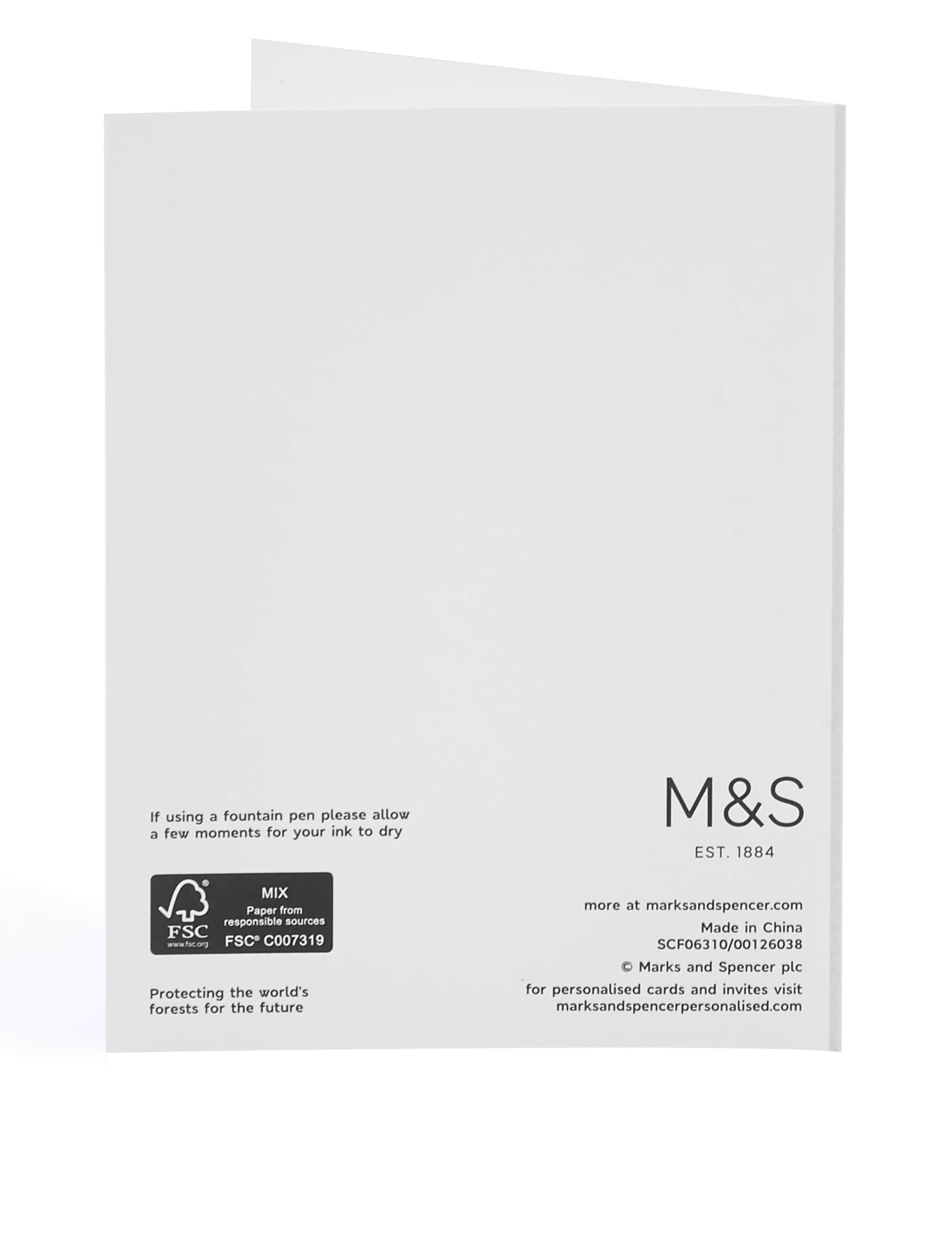 Pack of 8 Illustrated Bear Blank Cards 3 of 3