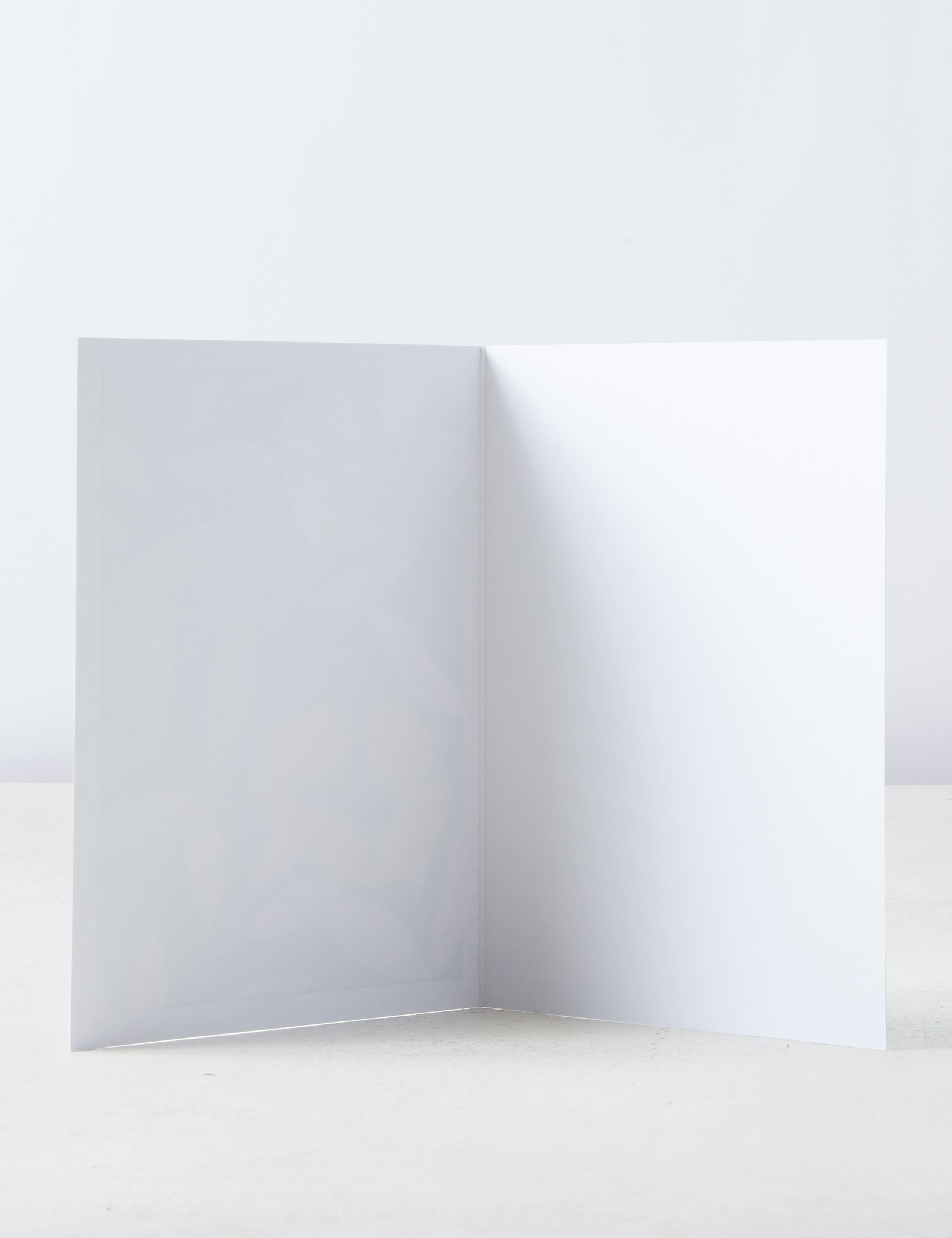Pack of Contemporary Floral Blank Cards - 12 Cards in 4 Designs 2 of 4