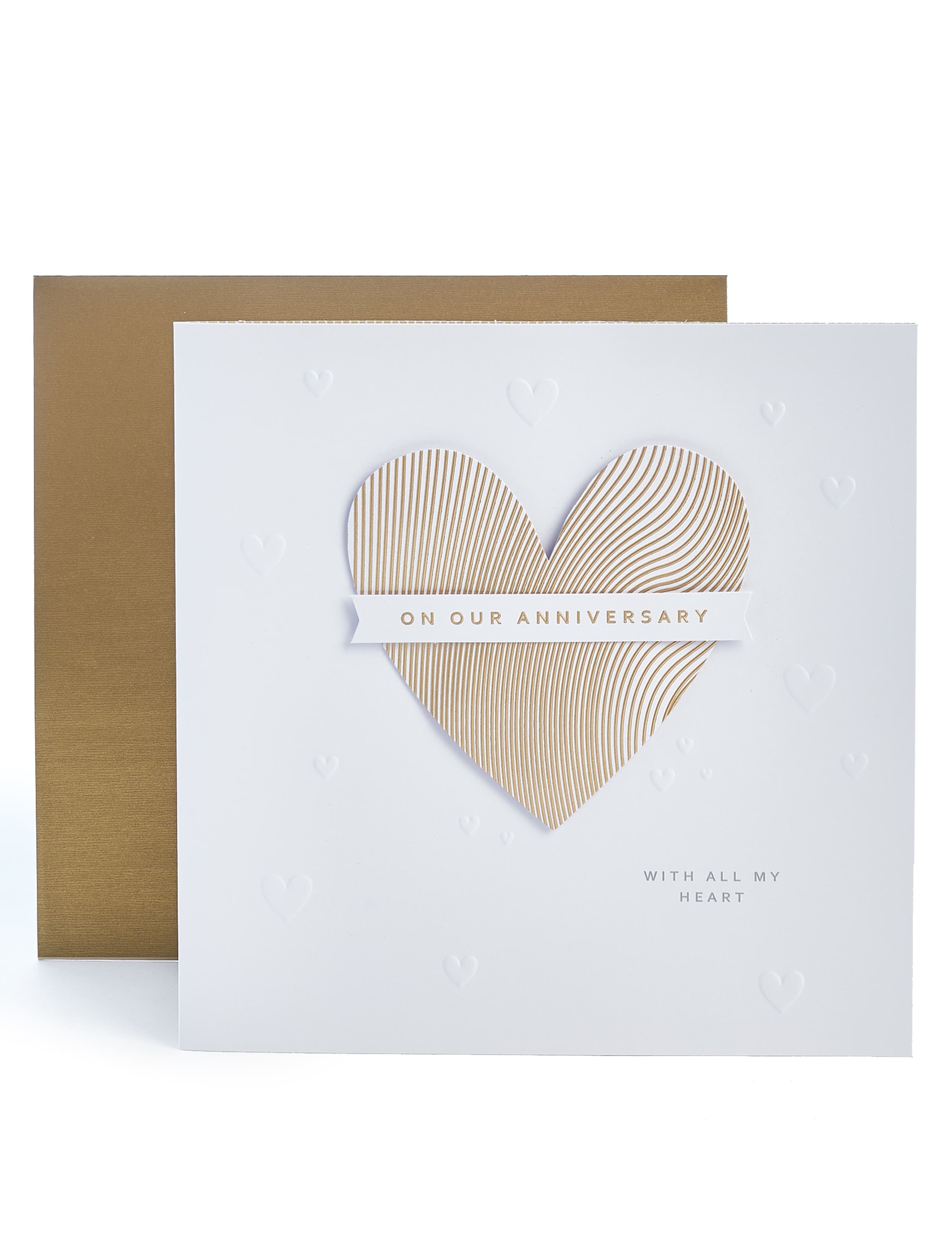 Our Anniversary Card 1 of 3