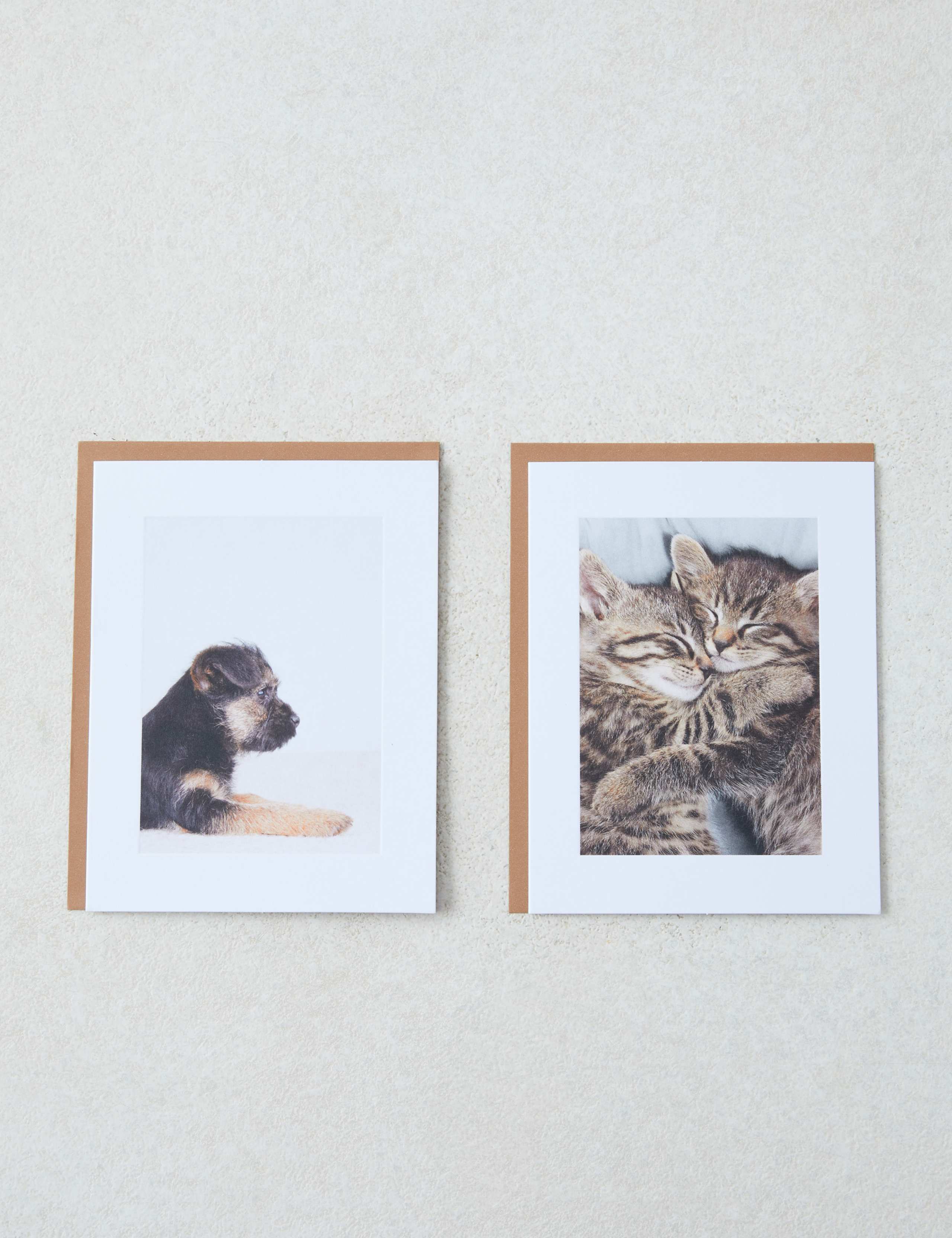 Pack of Cute Photographic Blank Cards - 10 Cards in 2 Designs 1 of 4