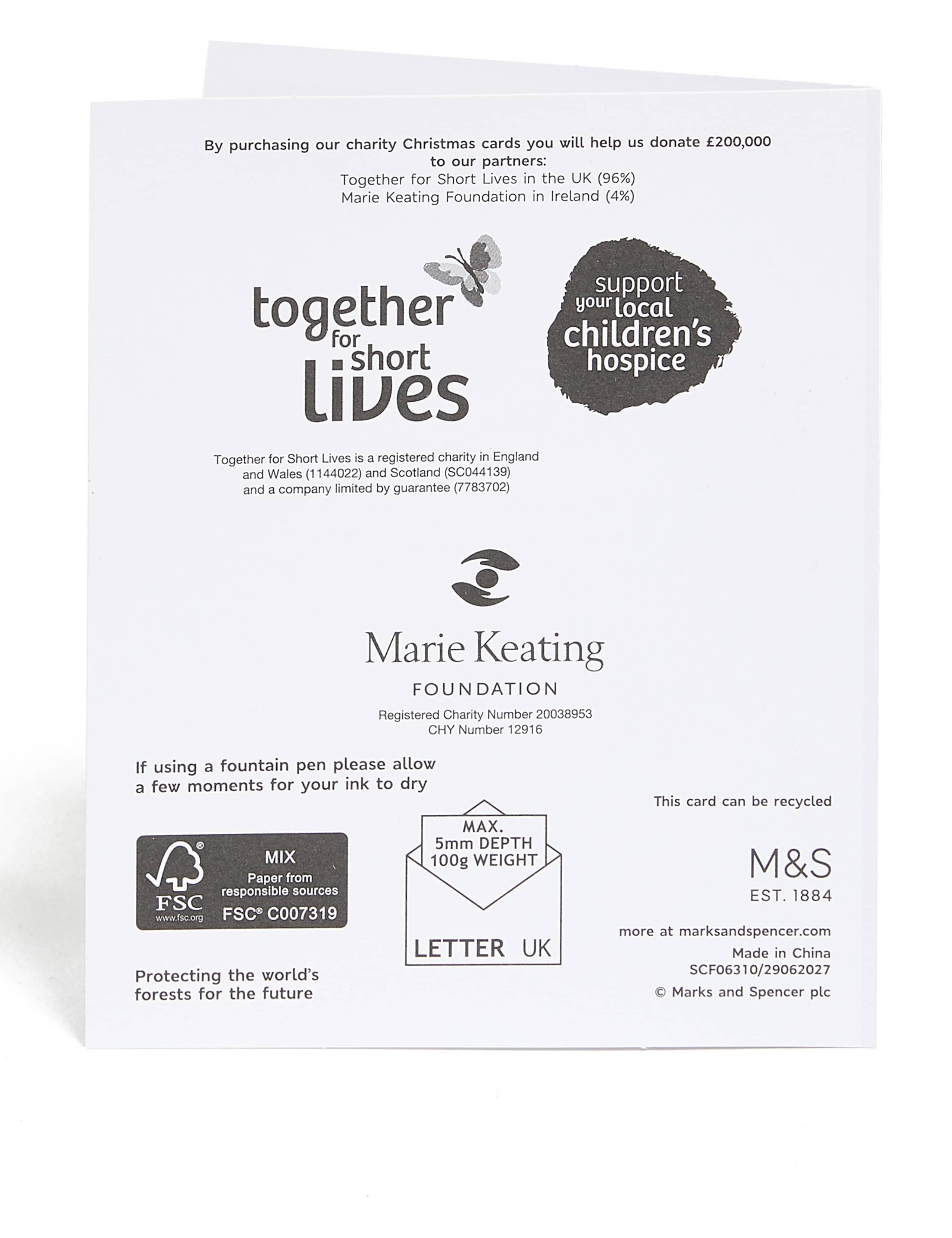 Contemporary Foiled Charity Christmas Cards - Pack of 15 3 of 5