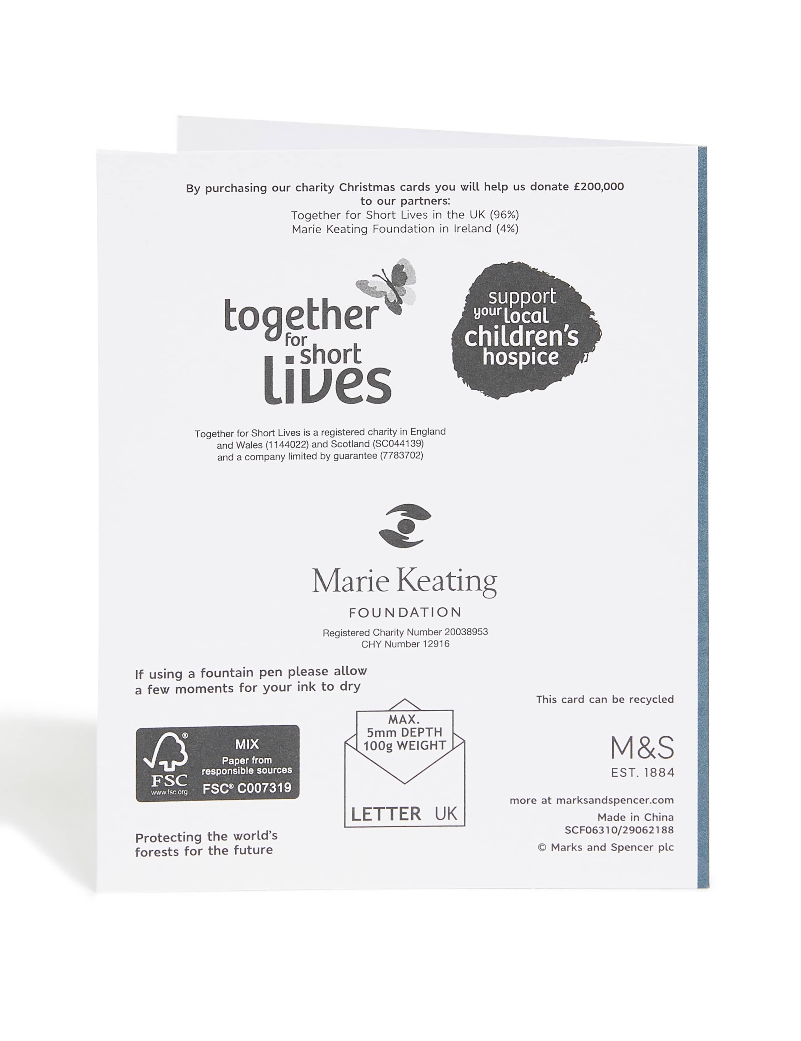 Traditional Foiled Charity Christmas Cards - Pack of 15 3 of 5