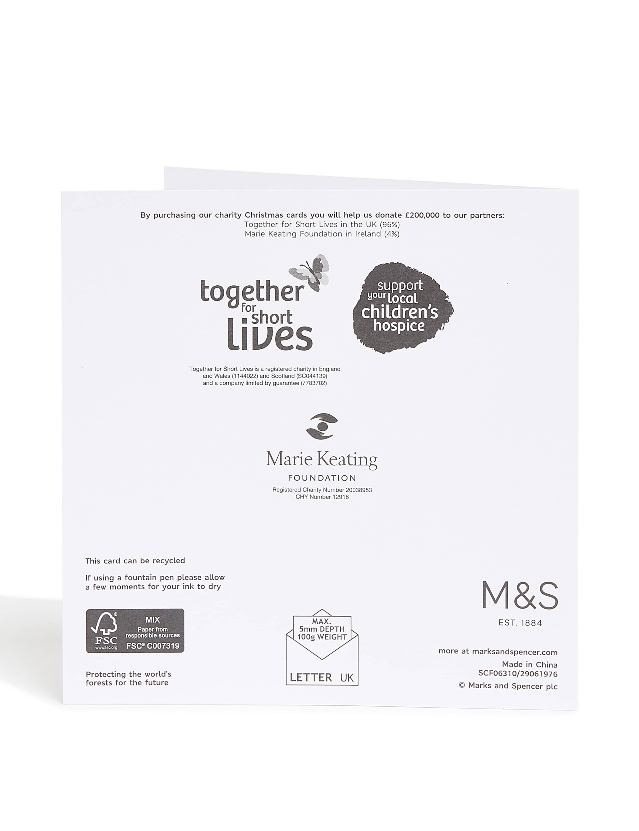 Traditional Illustrated Charity Christmas Cards – Pack of 20 4 of 4