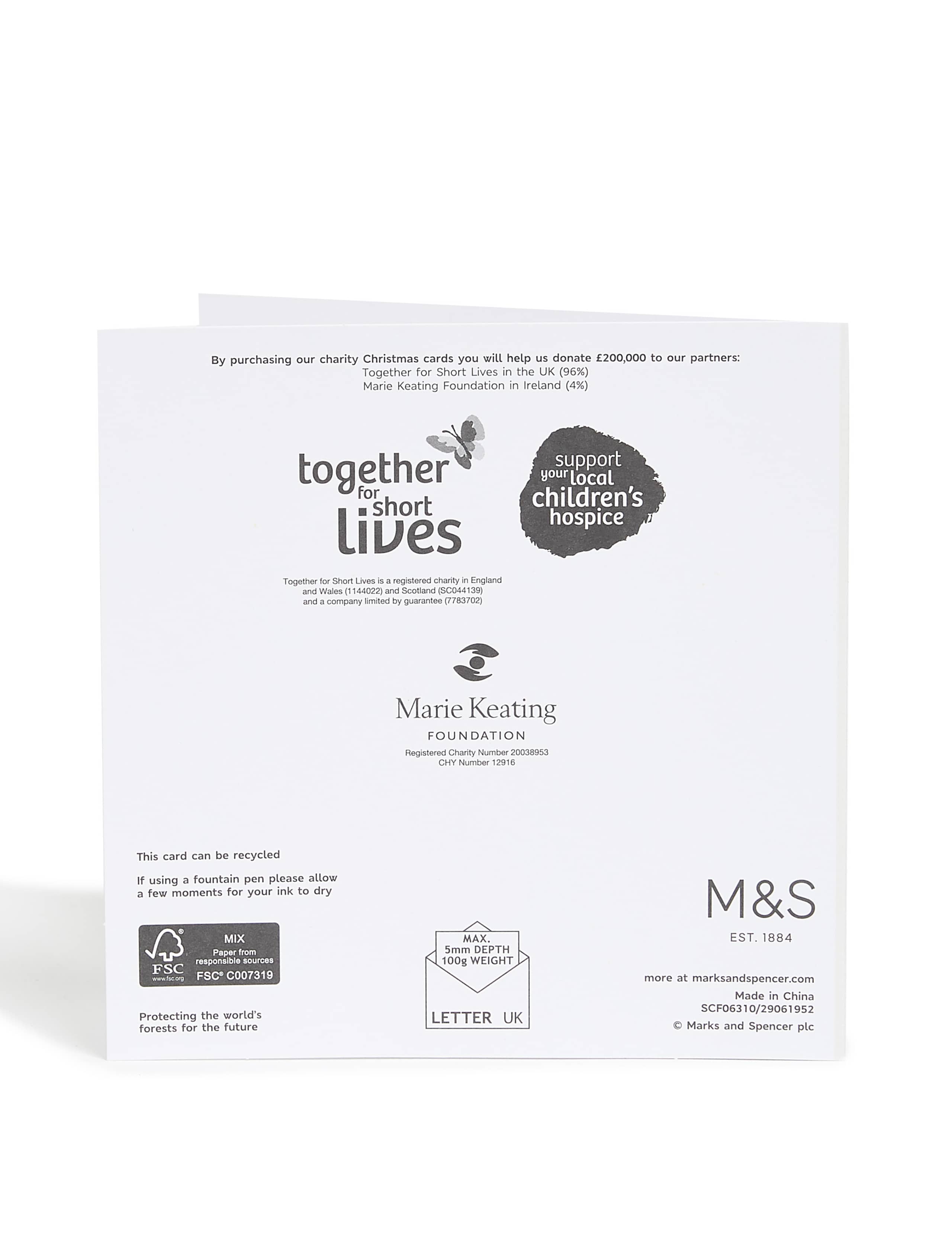 Festive Icons Charity Christmas Cards – Pack of 20 4 of 5